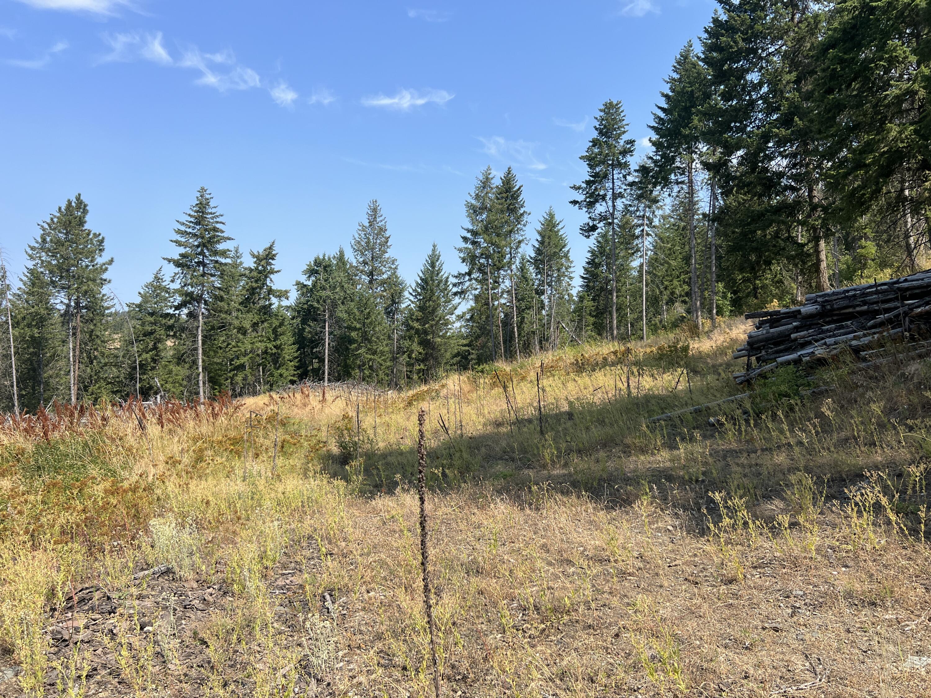 TBD HIGHLAND LOOP RD