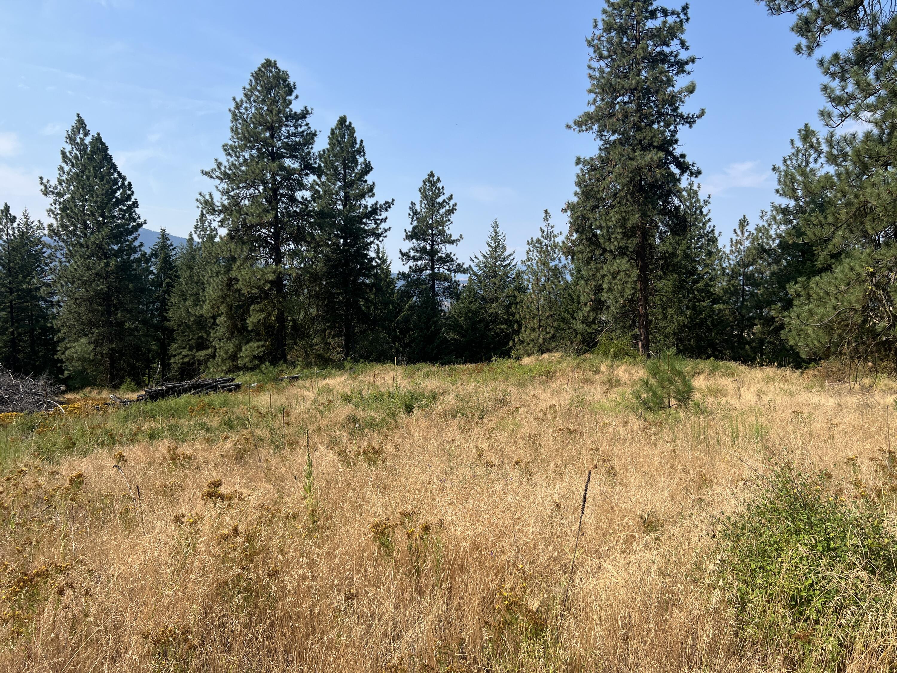TBD HIGHLAND LOOP RD