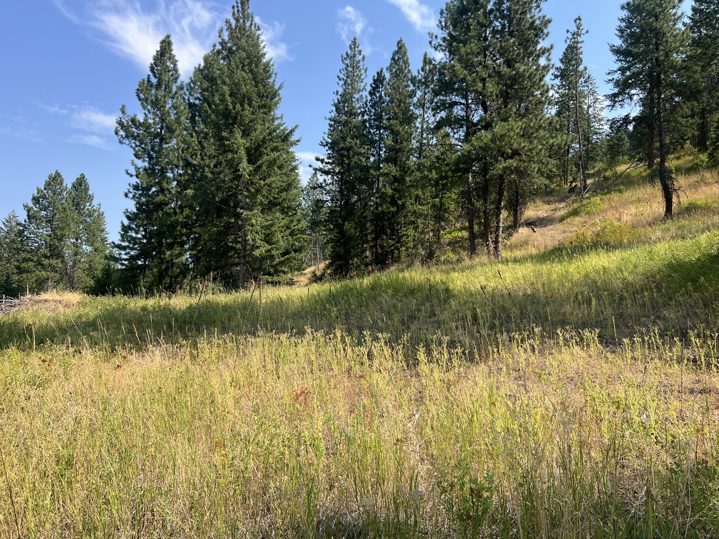 TBD HIGHLAND LOOP RD