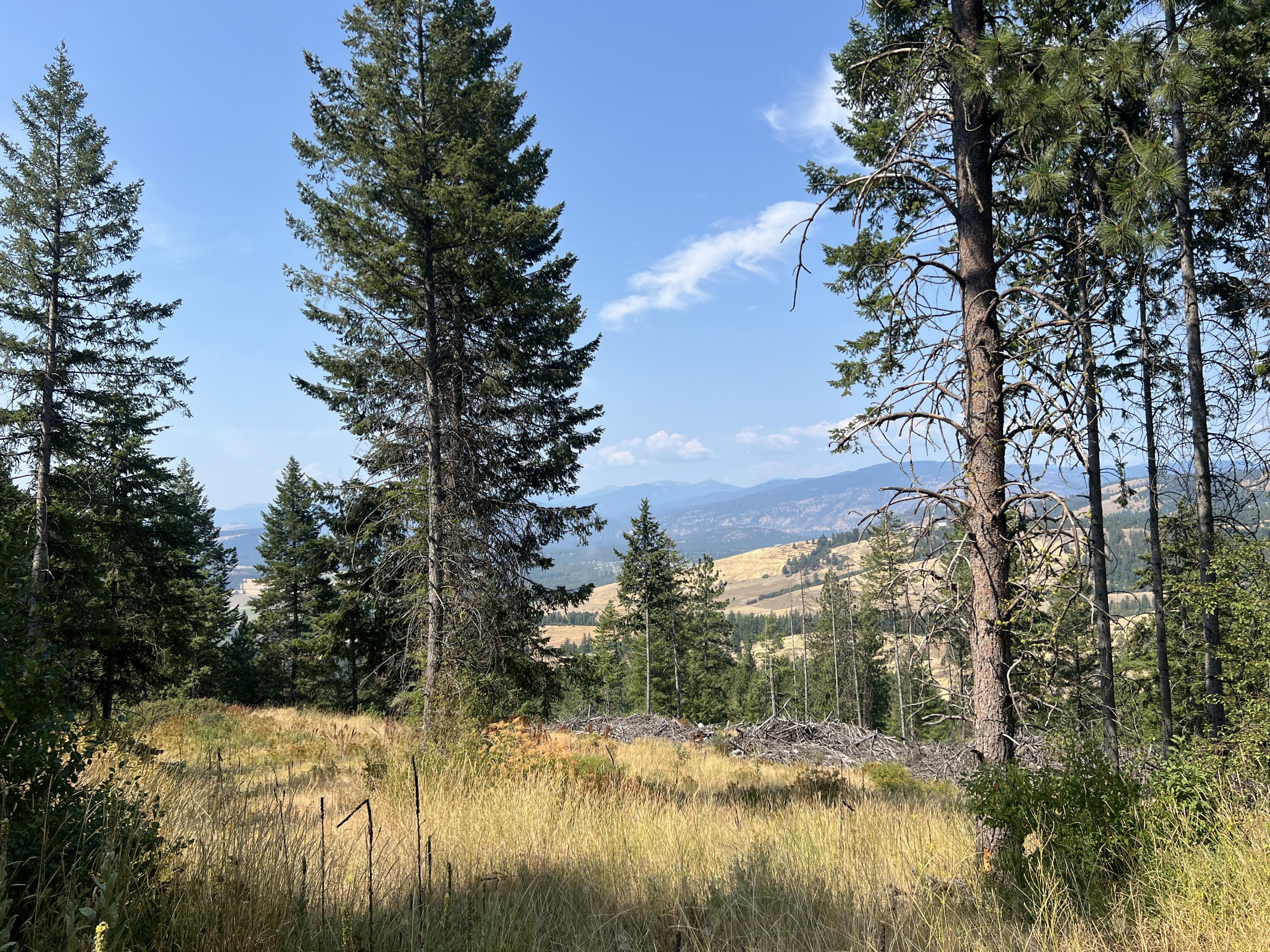 TBD HIGHLAND LOOP RD