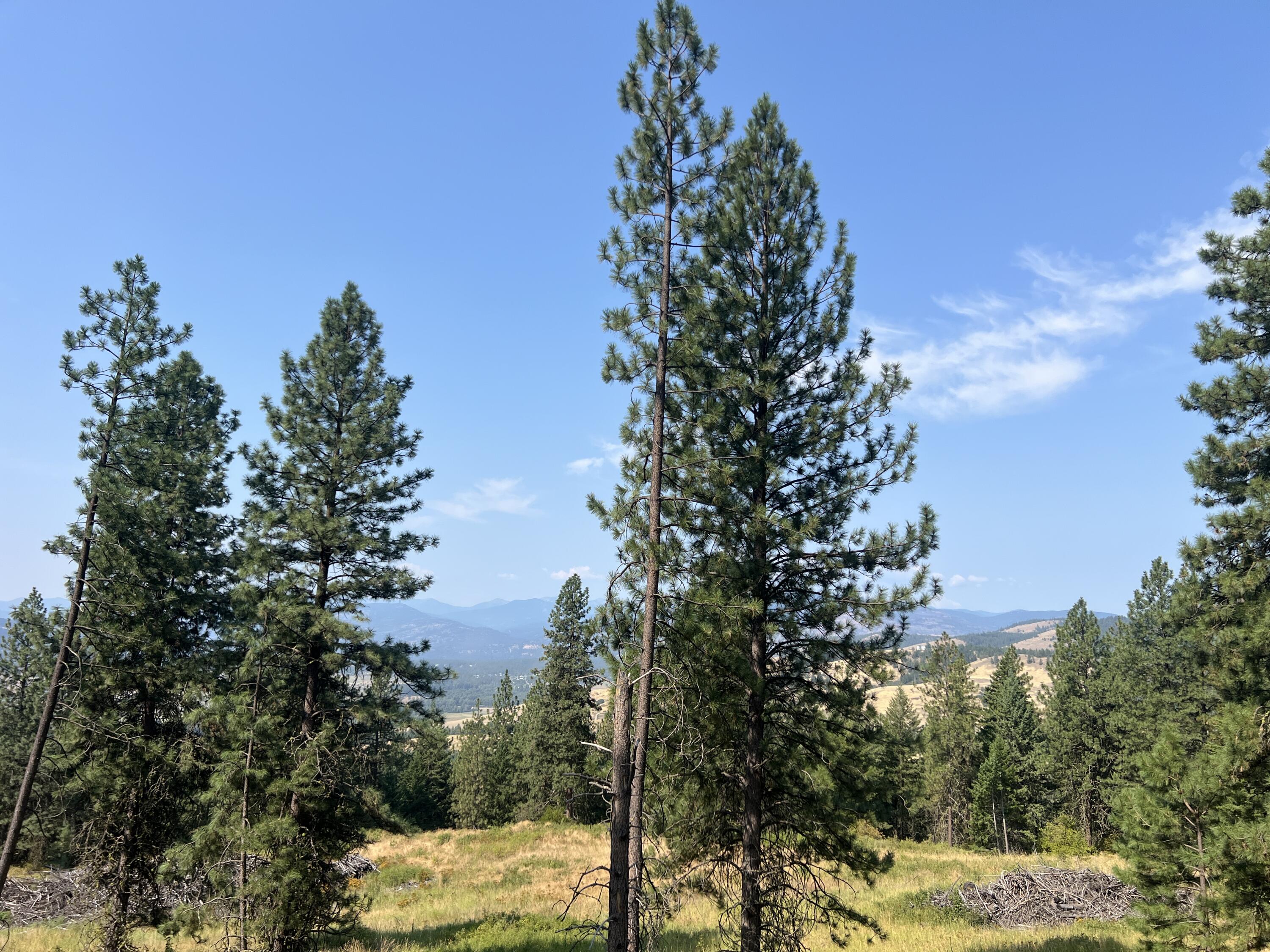 TBD HIGHLAND LOOP RD
