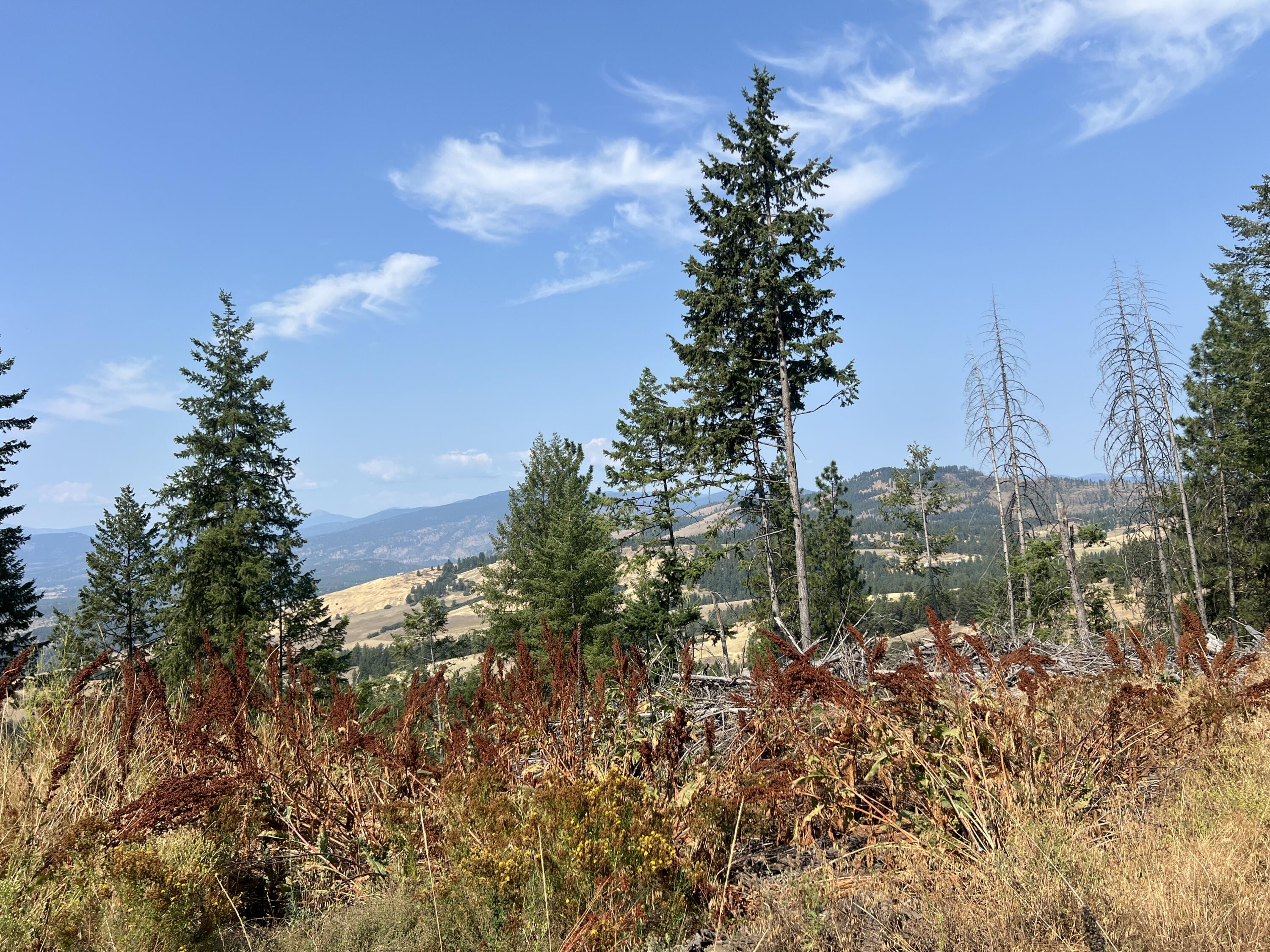 TBD HIGHLAND LOOP RD