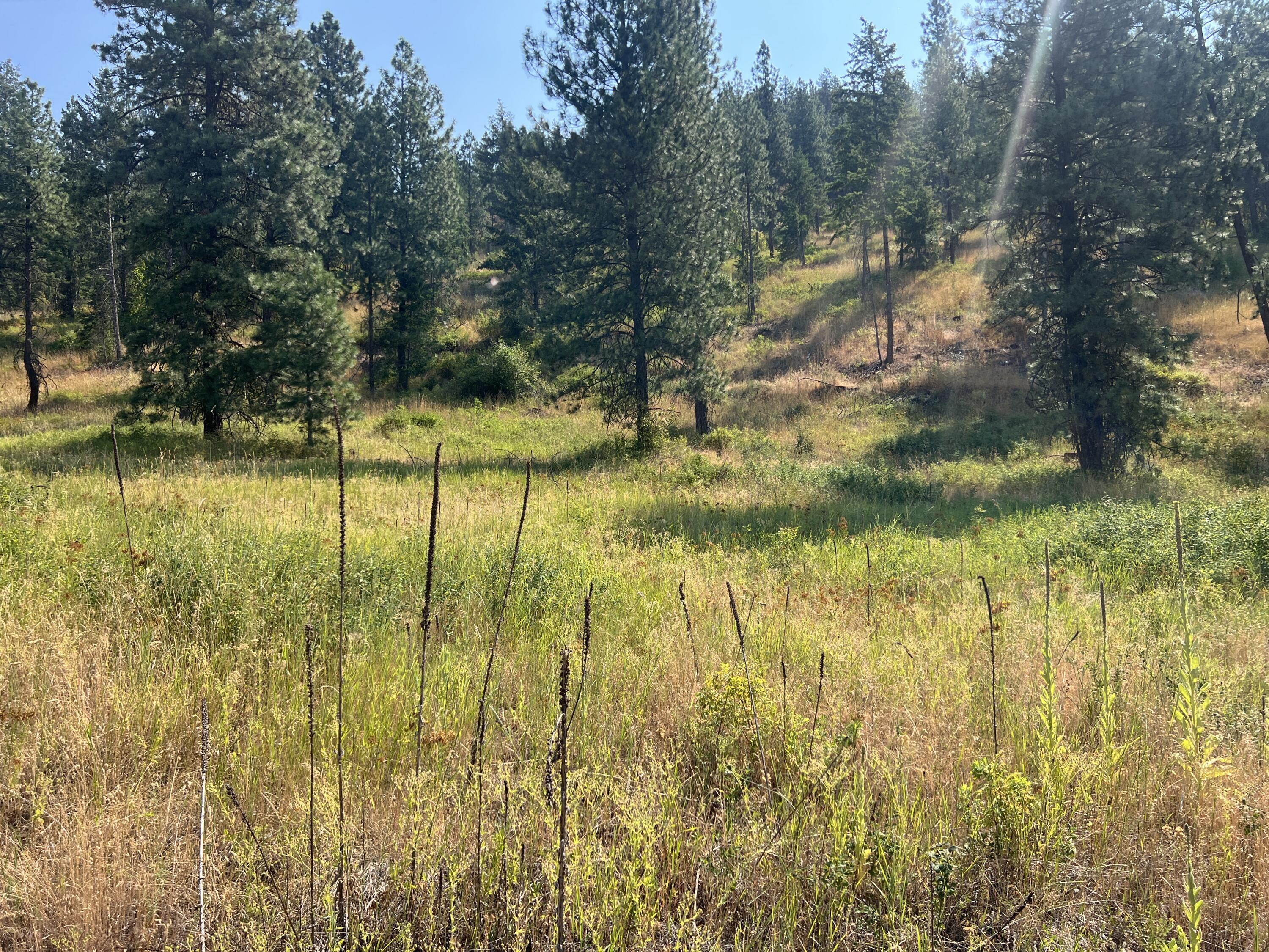TBD HIGHLAND LOOP RD
