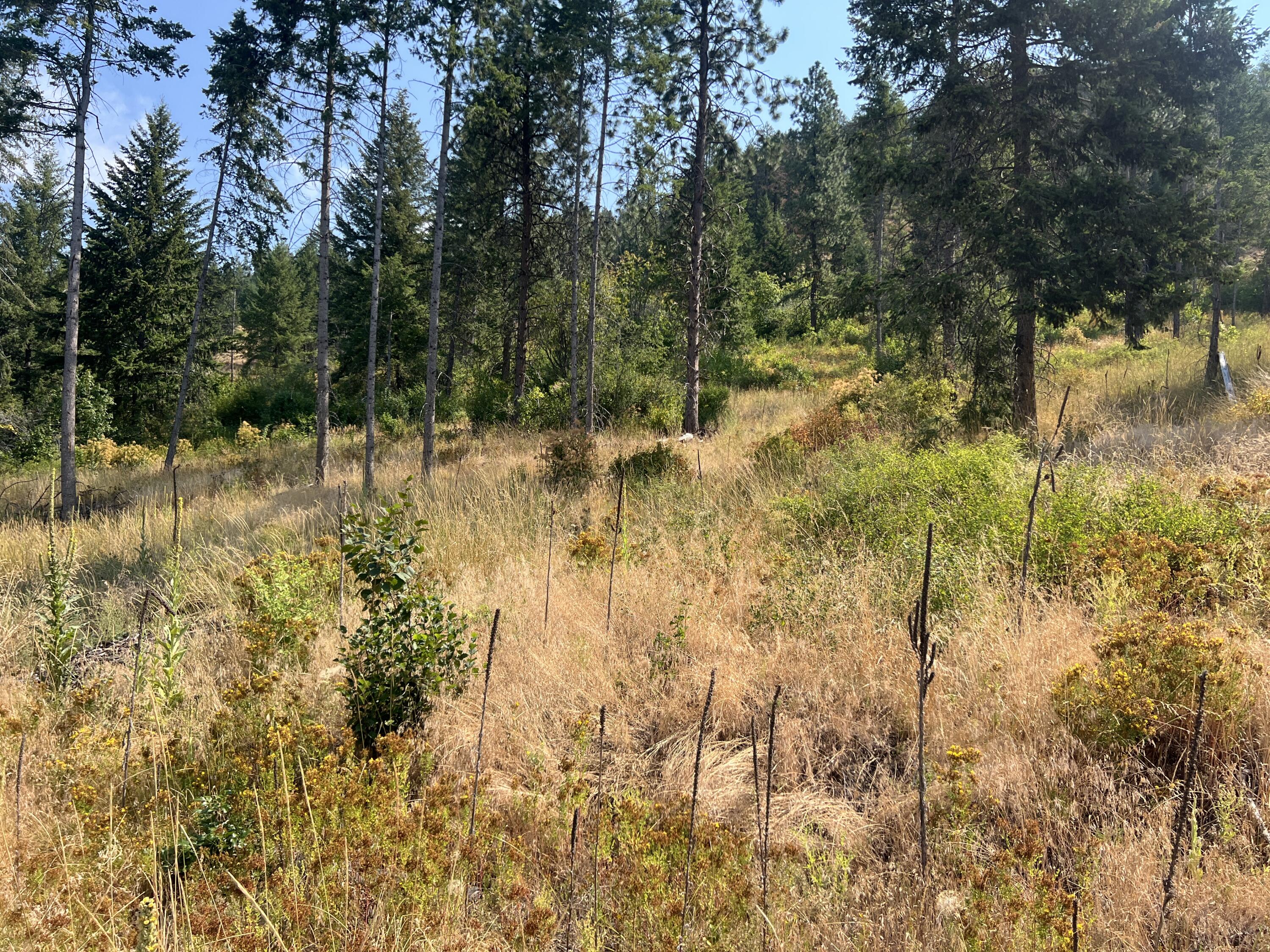 TBD HIGHLAND LOOP RD