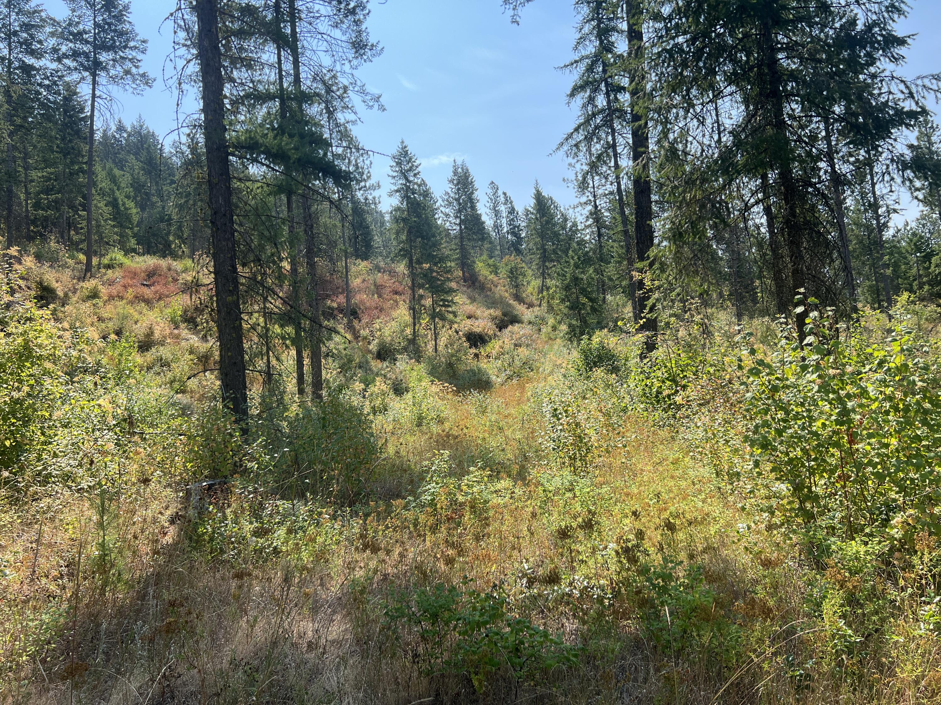 TBD HIGHLAND LOOP RD