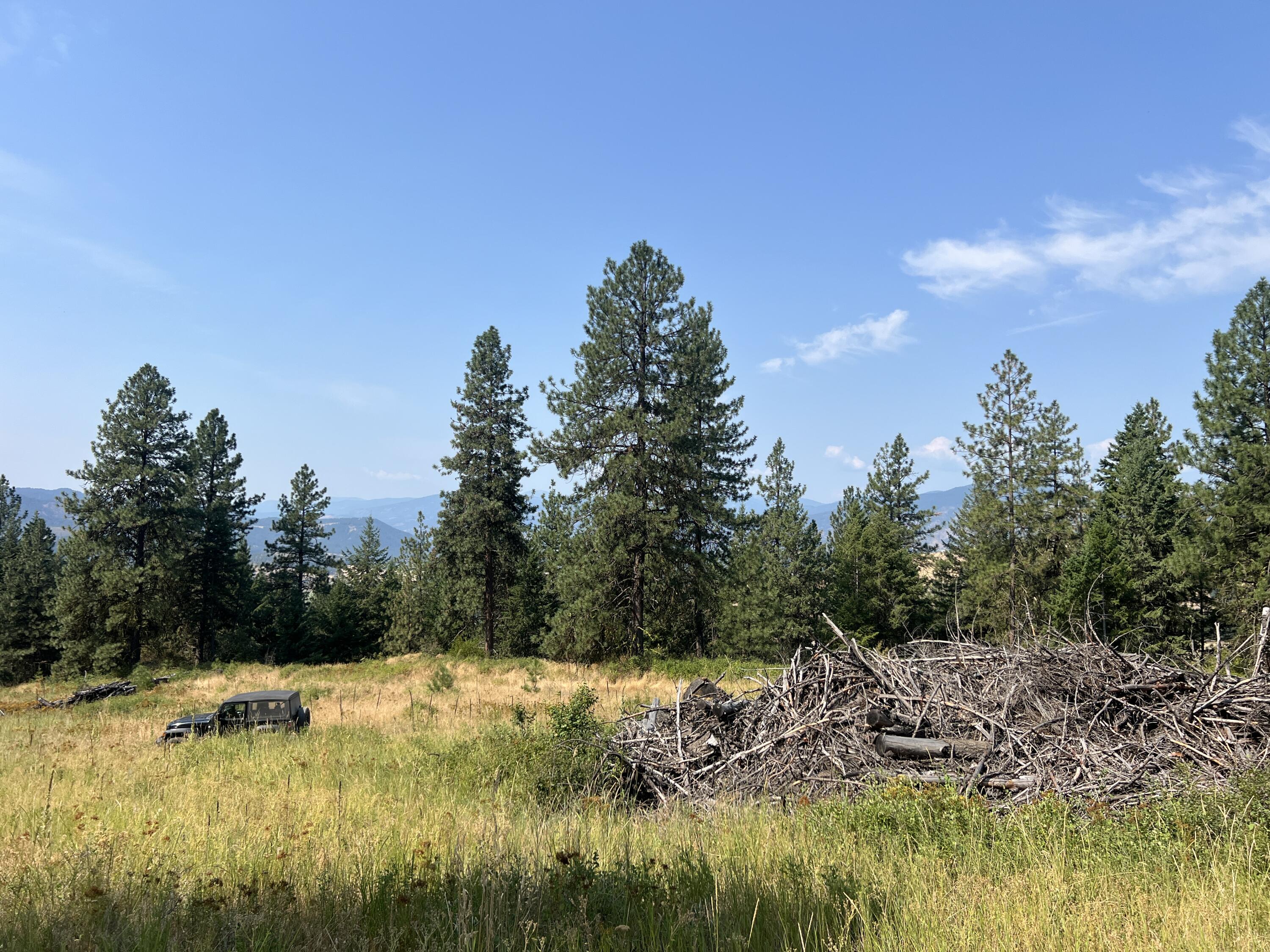 TBD HIGHLAND LOOP RD