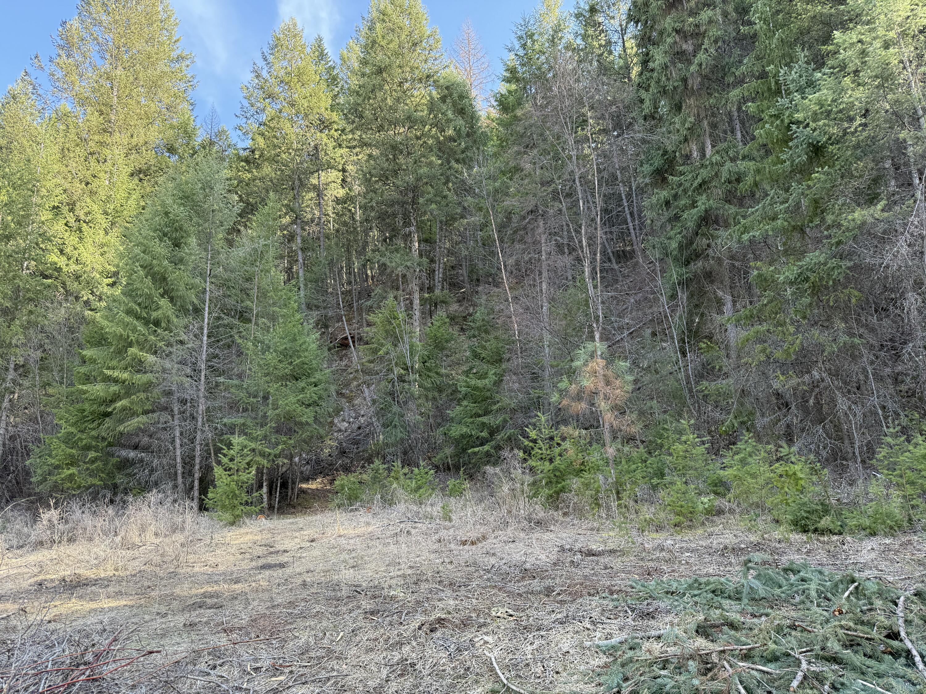 334 BOULDER CREEK RD