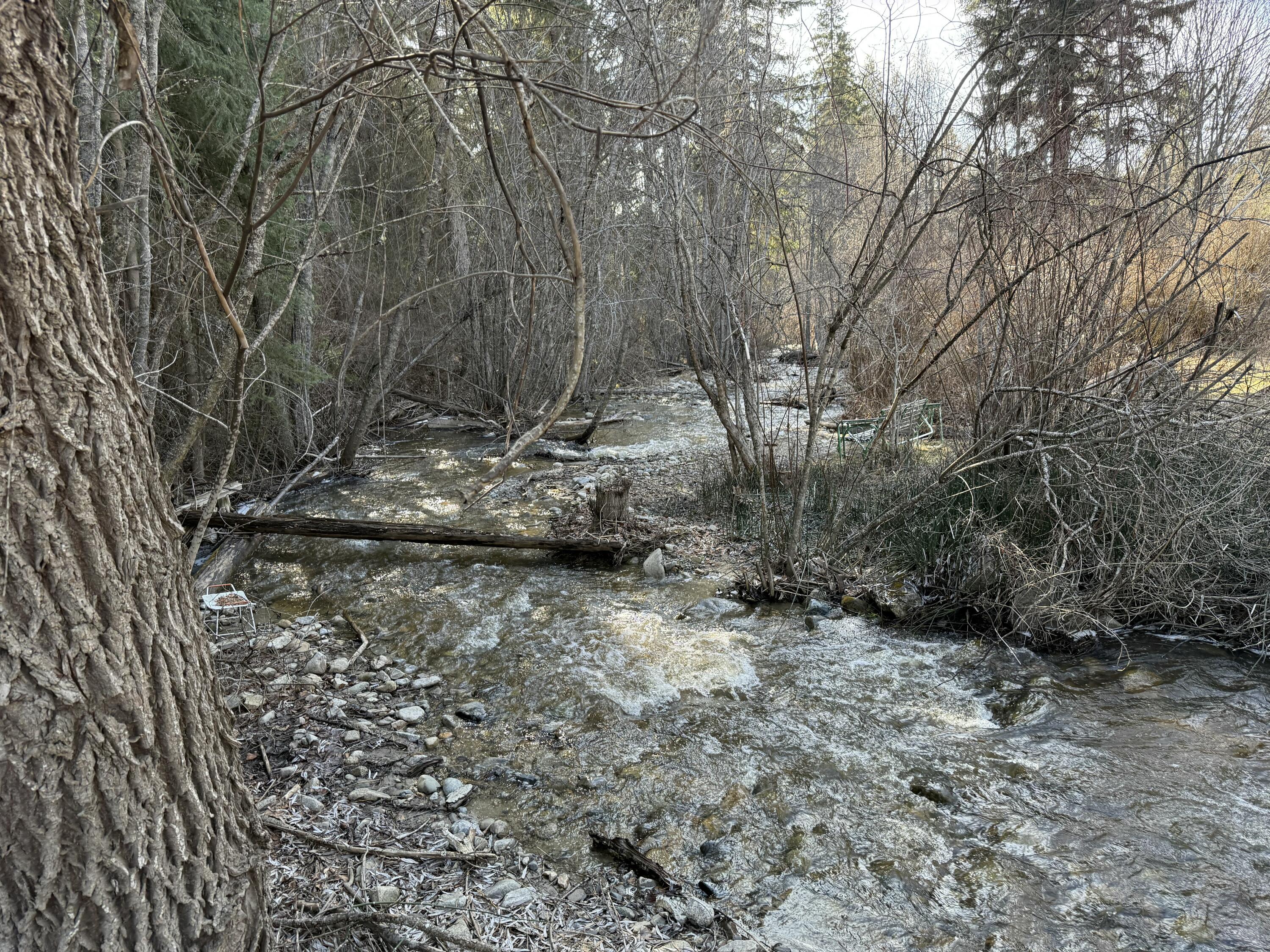 334 BOULDER CREEK RD