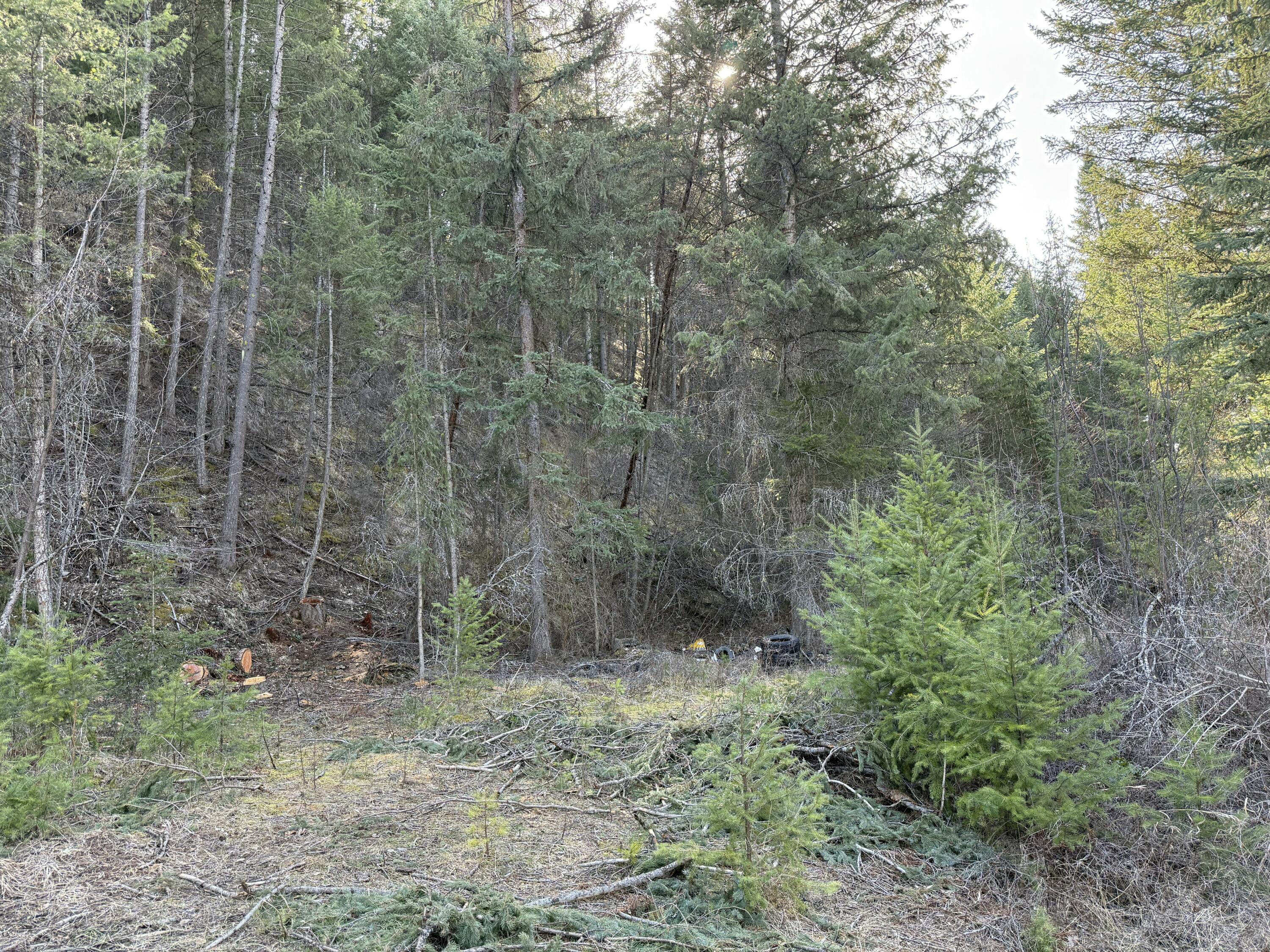 334 BOULDER CREEK RD