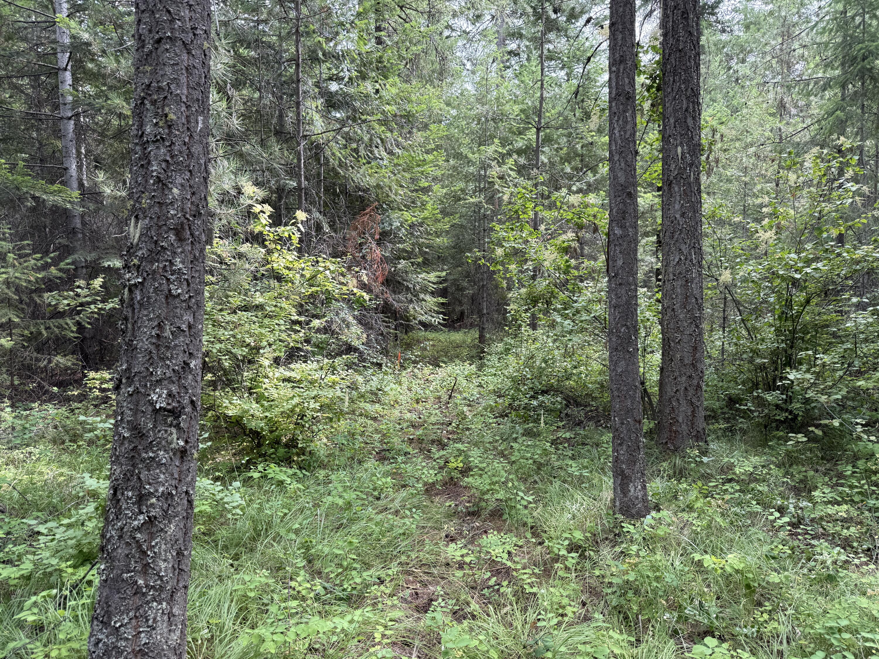 LOT 1 -HUNTERS RD