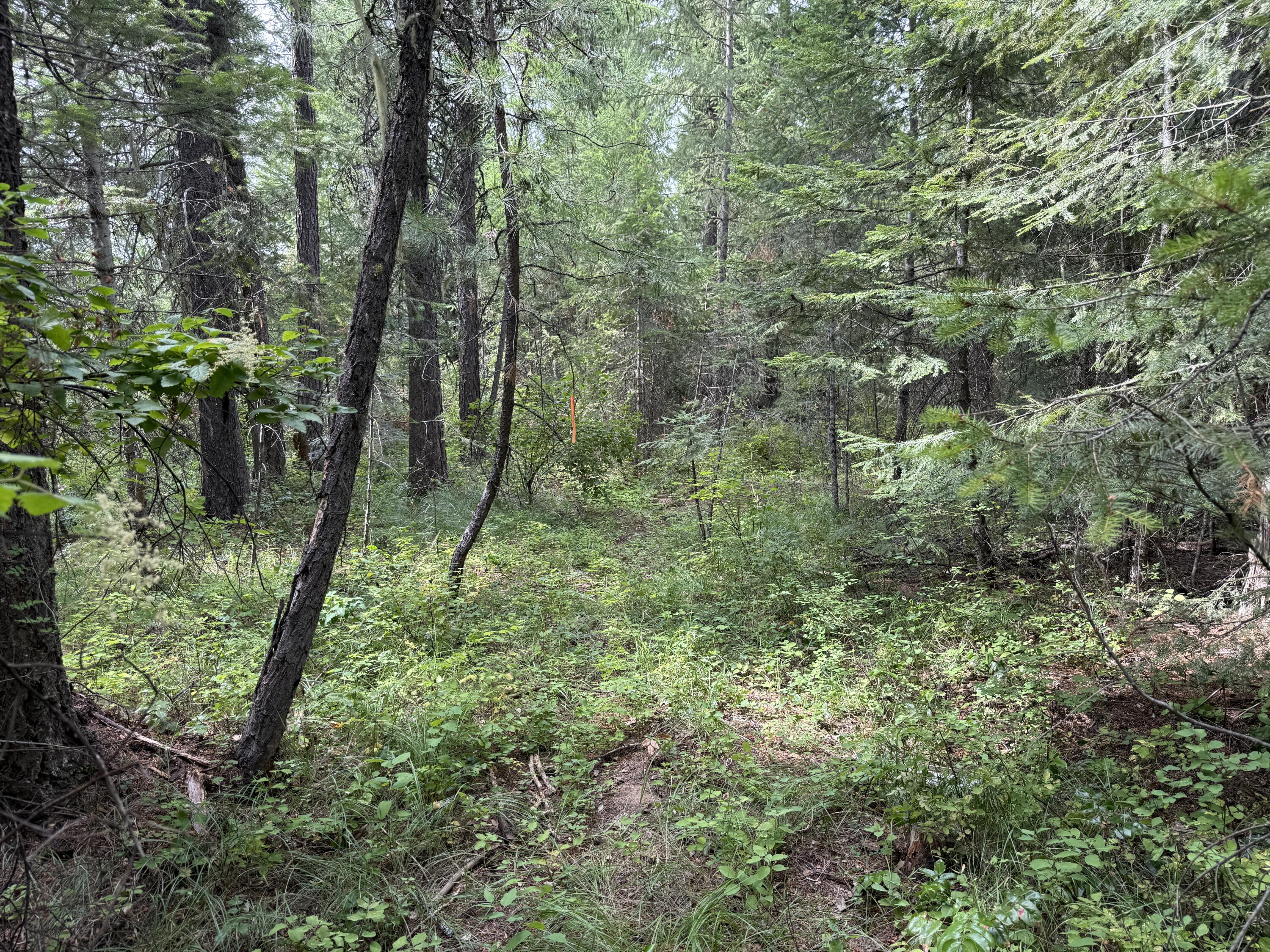 LOT 1 -HUNTERS RD