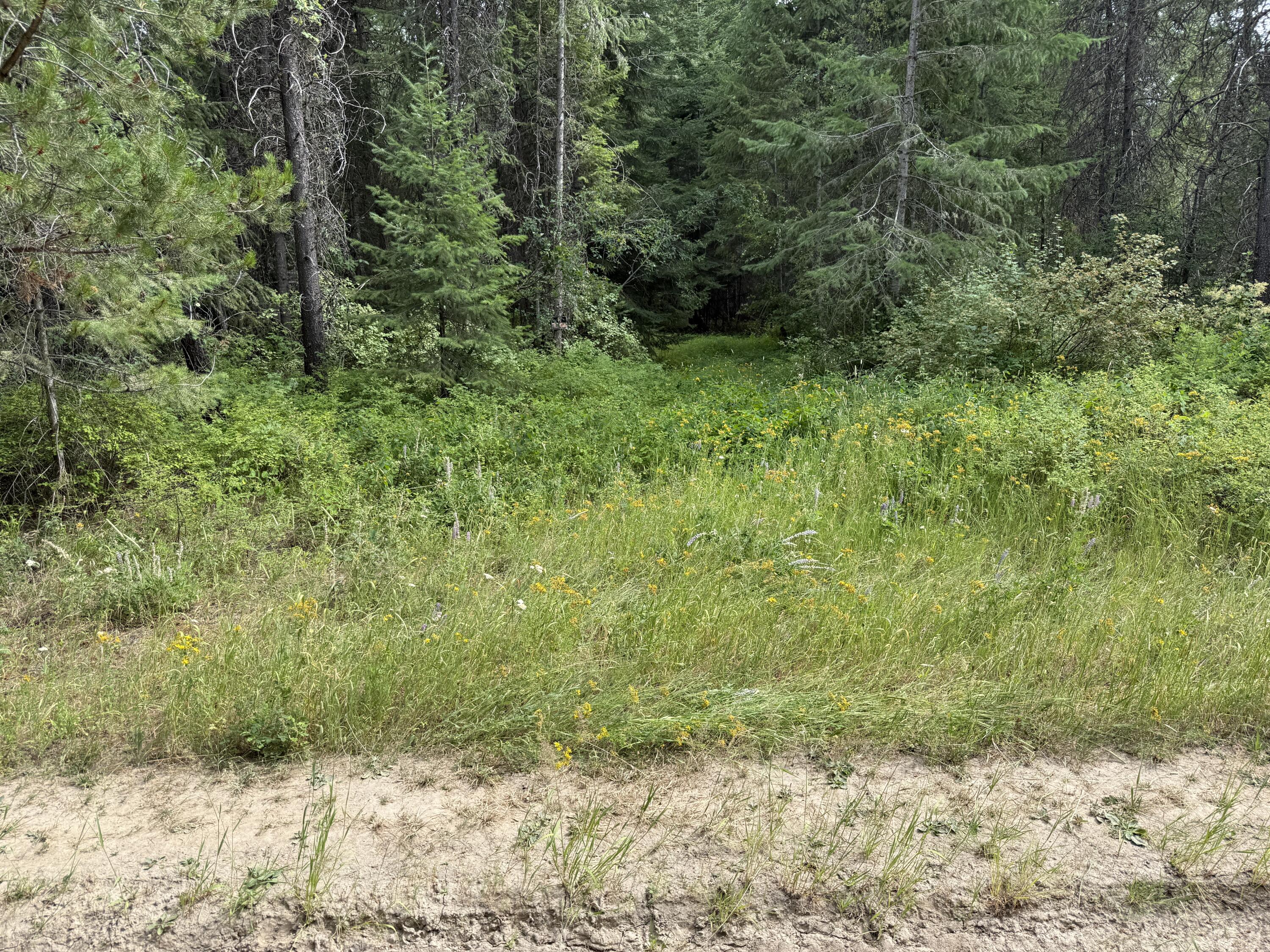 LOT 1 -HUNTERS RD