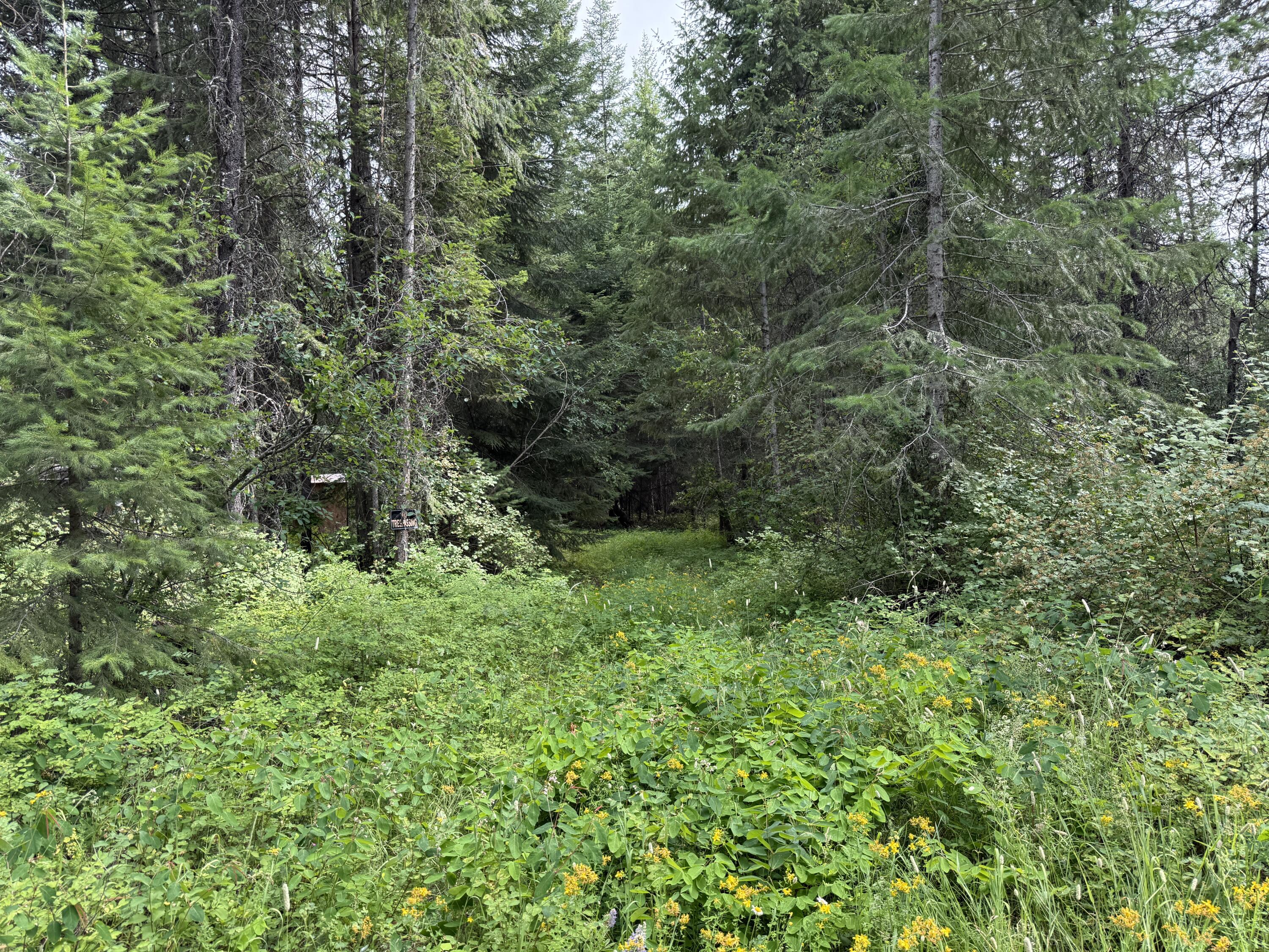 LOT 1 -HUNTERS RD