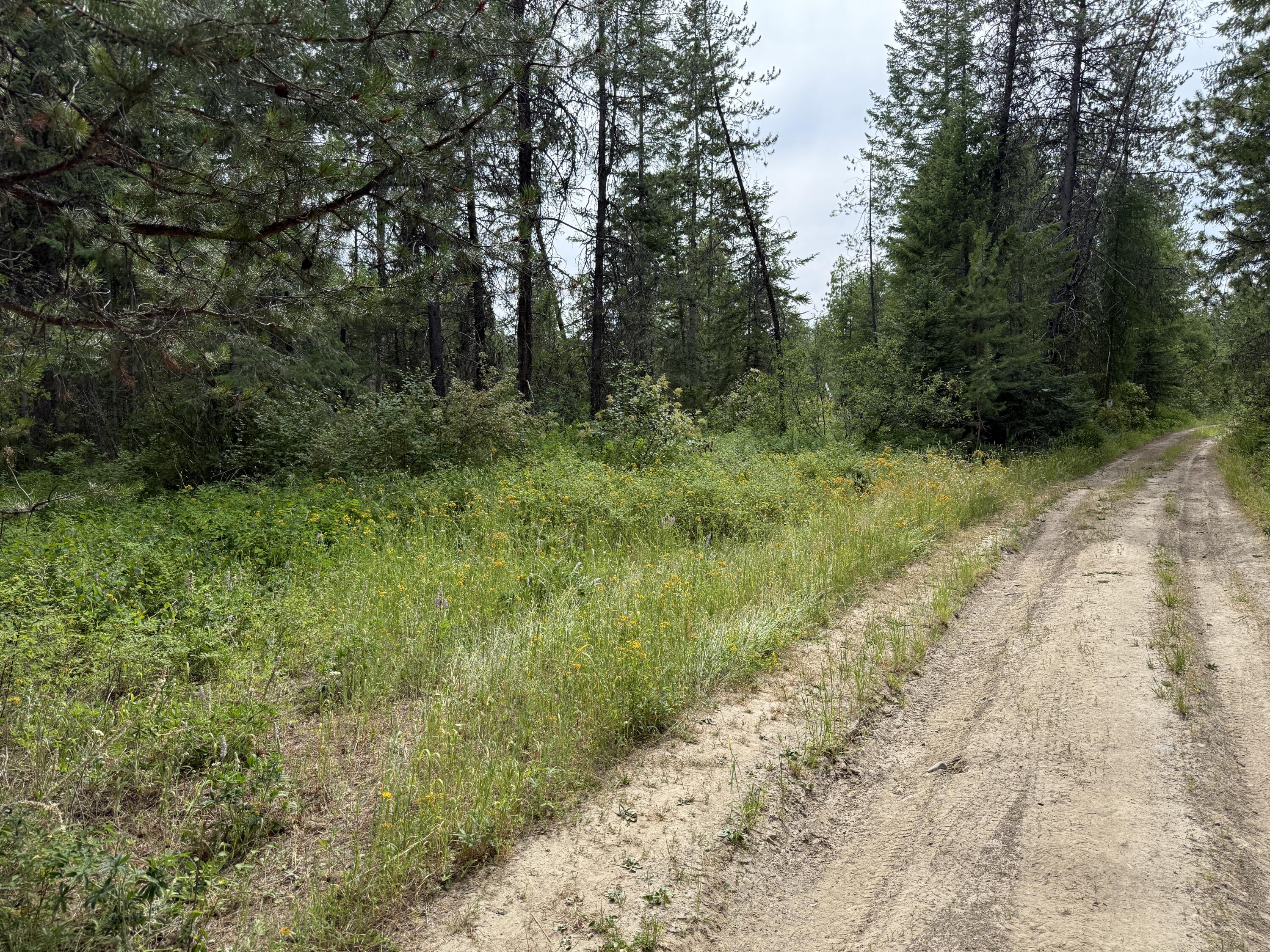 LOT 1 -HUNTERS RD