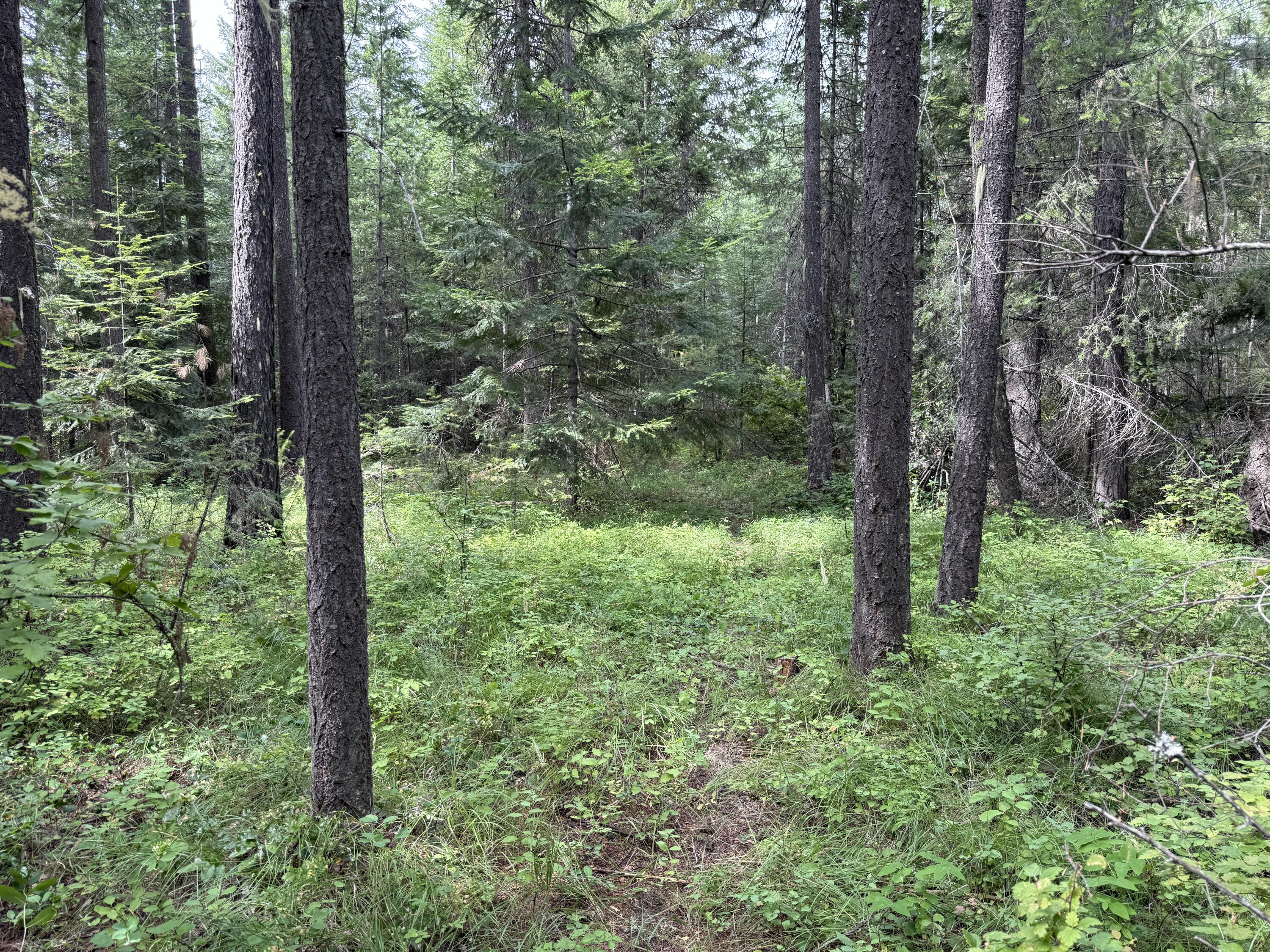 LOT 1 -HUNTERS RD
