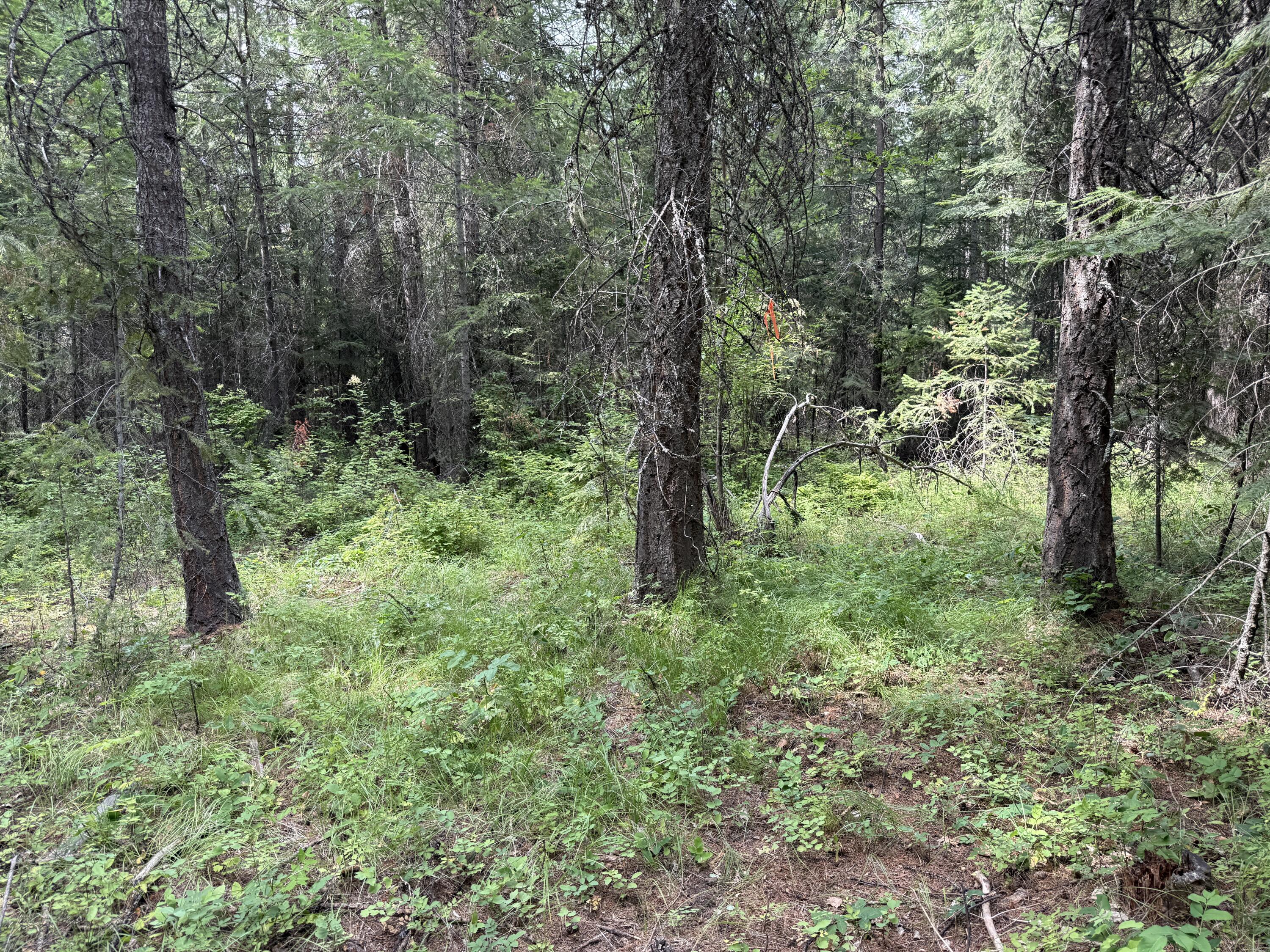 LOT 1 -HUNTERS RD