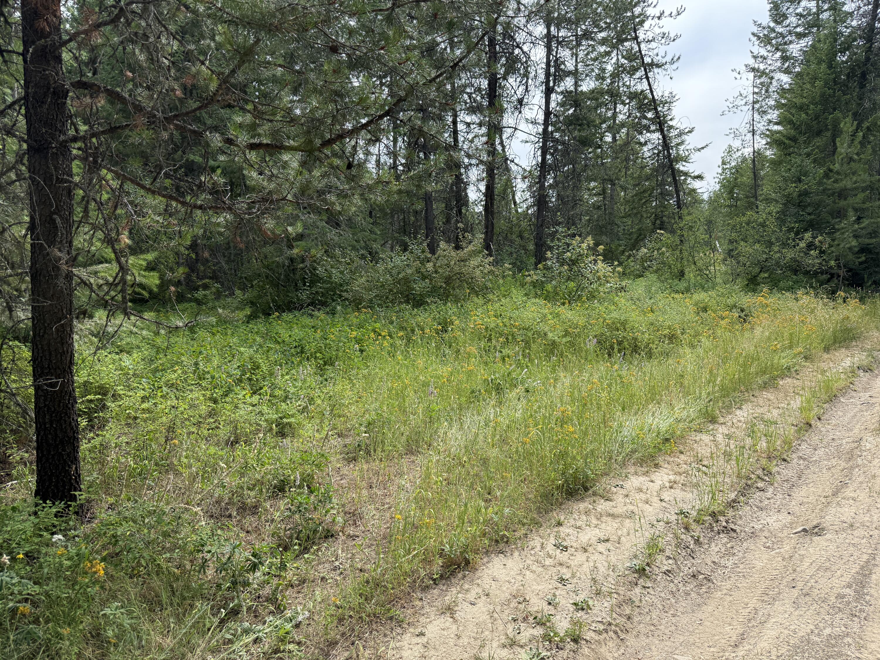 LOT 1 -HUNTERS RD