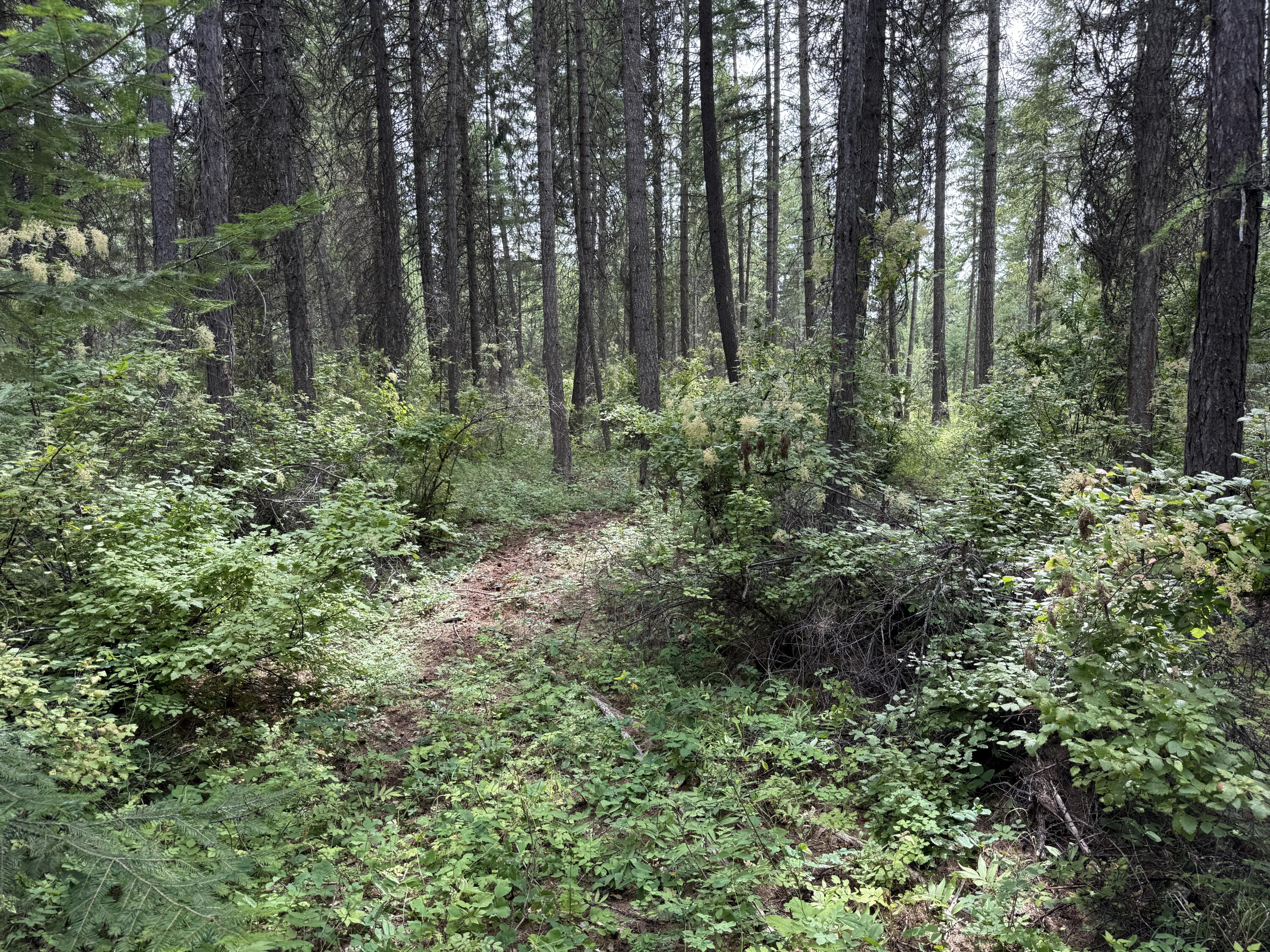 LOT 1 -HUNTERS RD