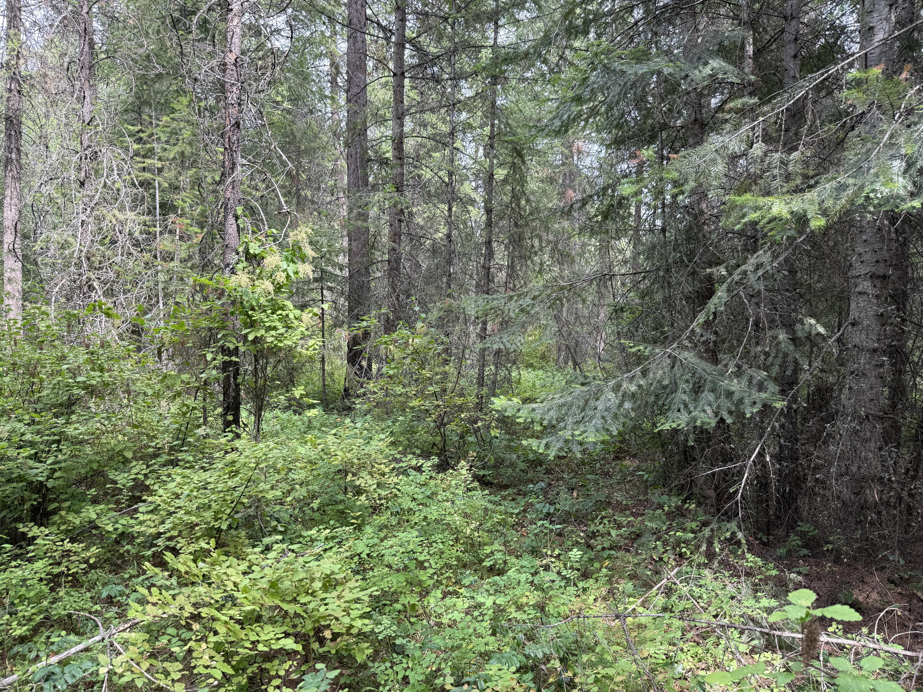 LOT 1 -HUNTERS RD