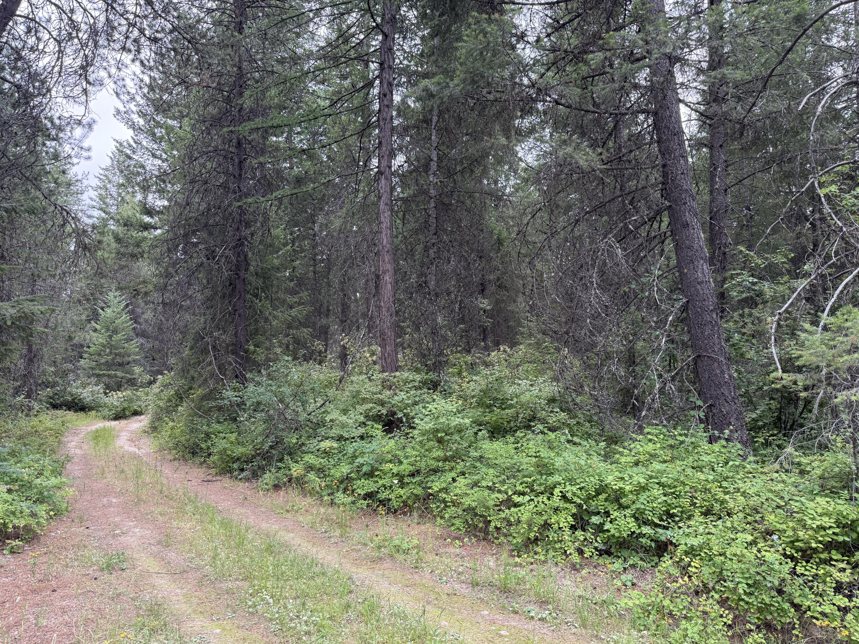 LOT 1 -HUNTERS RD