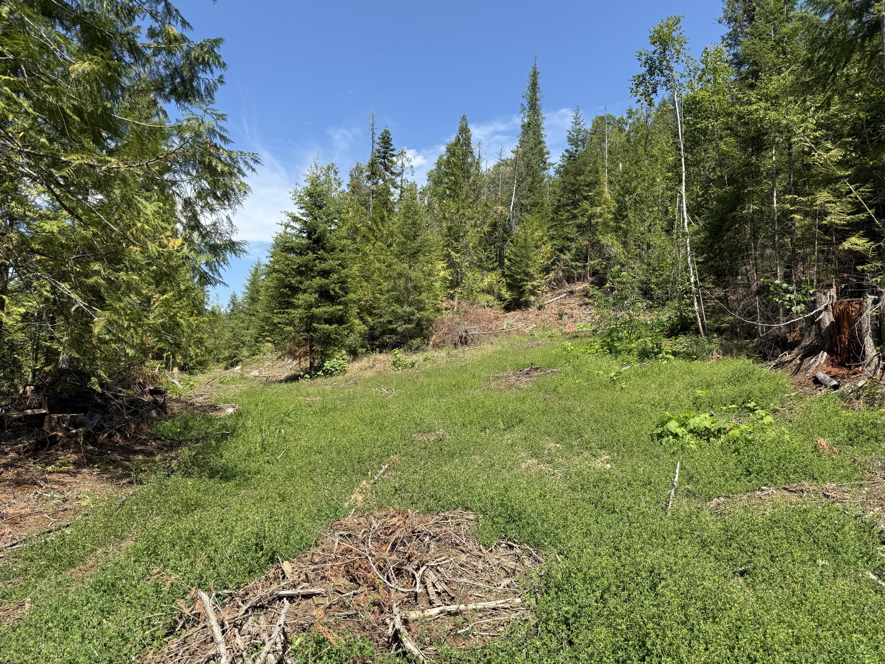 3516 DEEP LAKE BOUNDARY RD