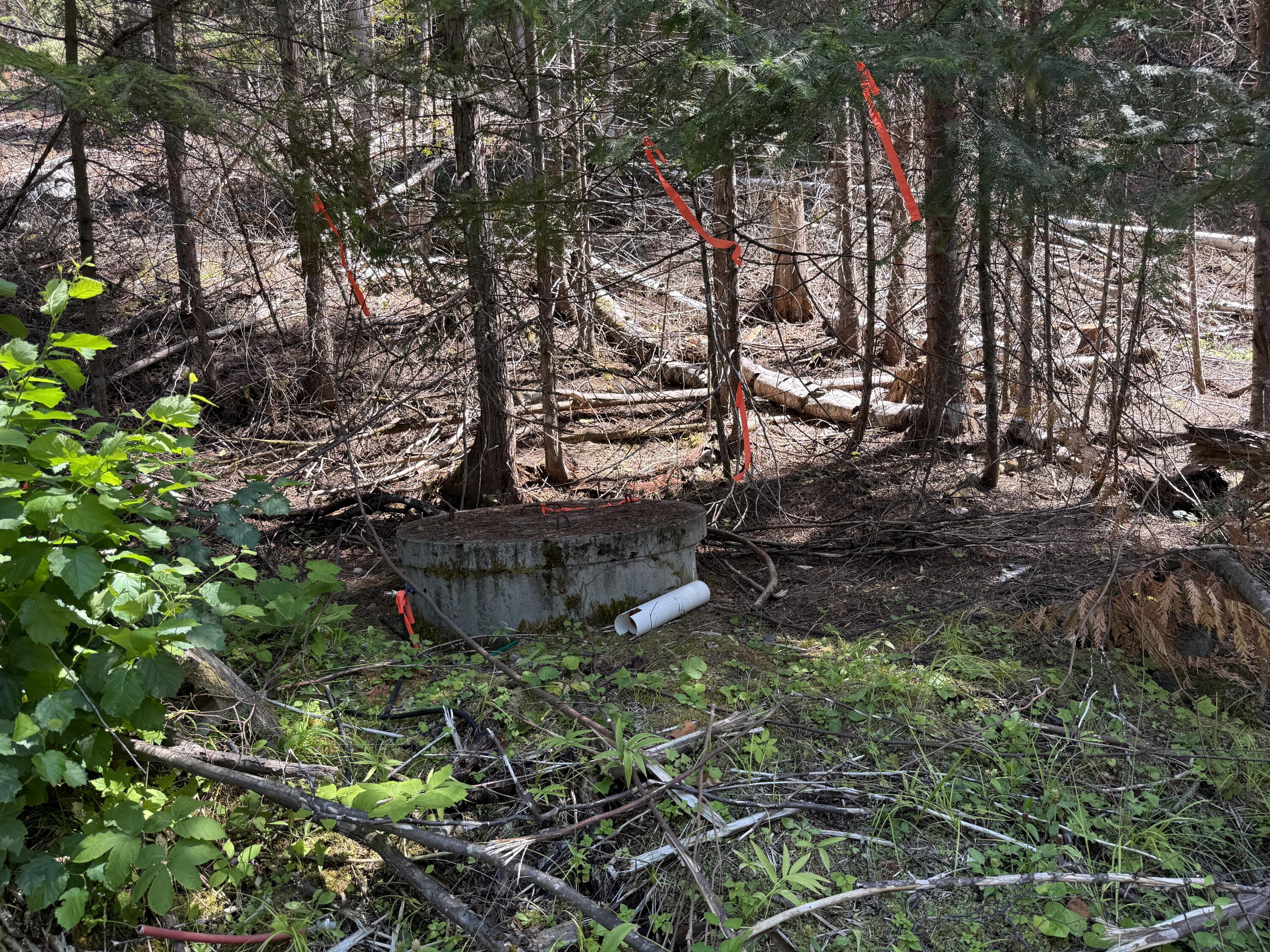 3516 DEEP LAKE BOUNDARY RD