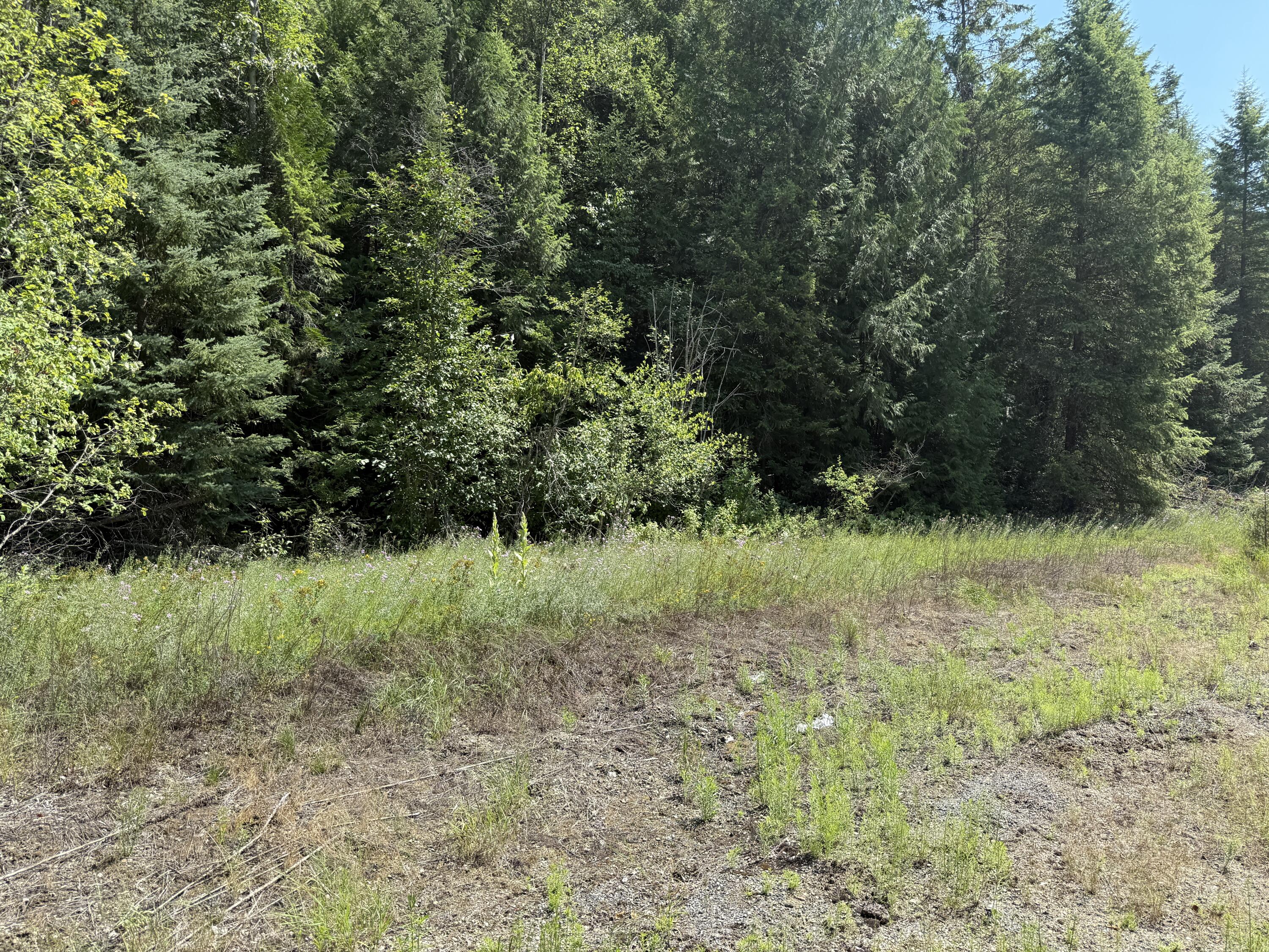 3516 DEEP LAKE BOUNDARY RD