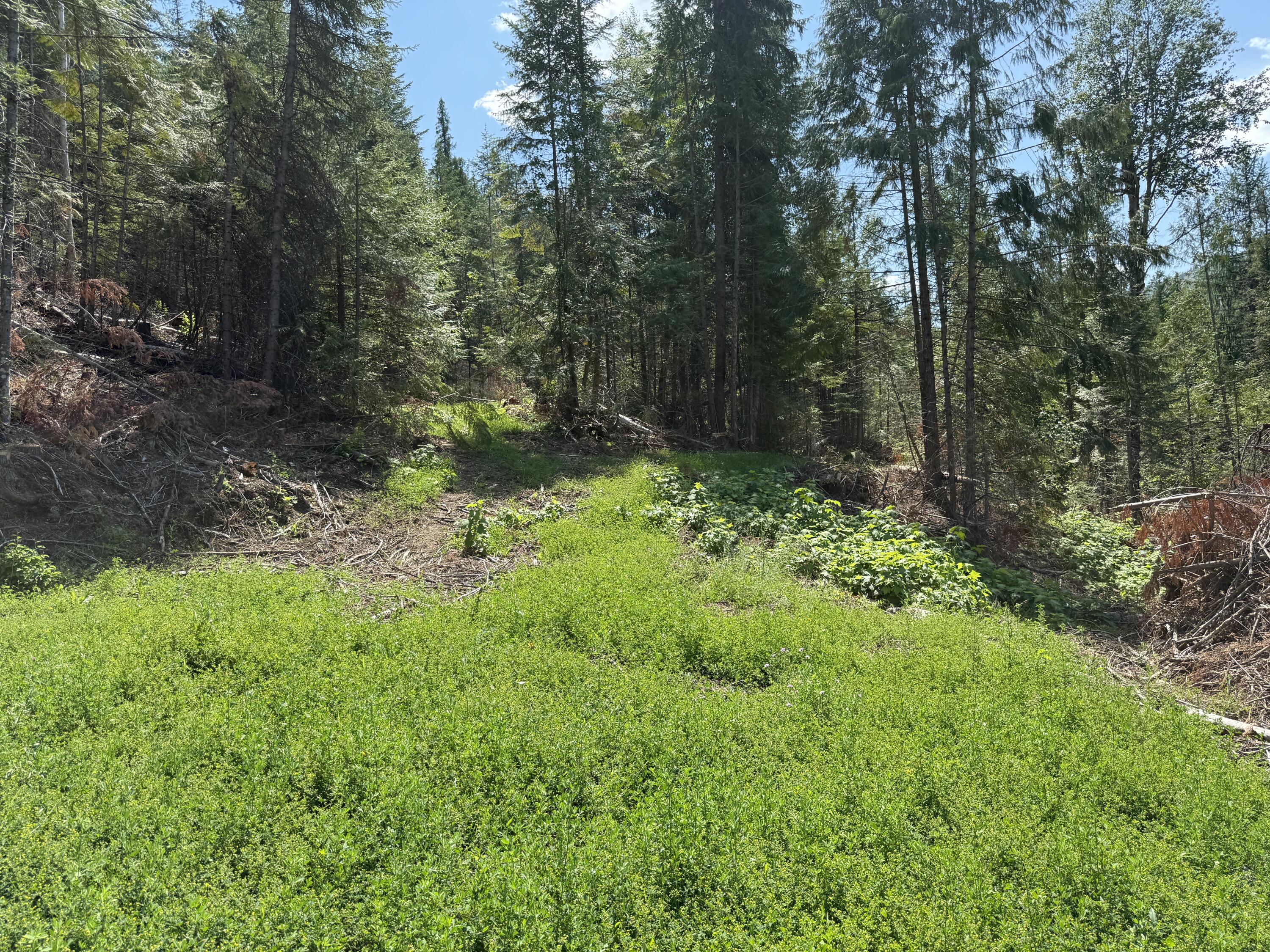 3516 DEEP LAKE BOUNDARY RD