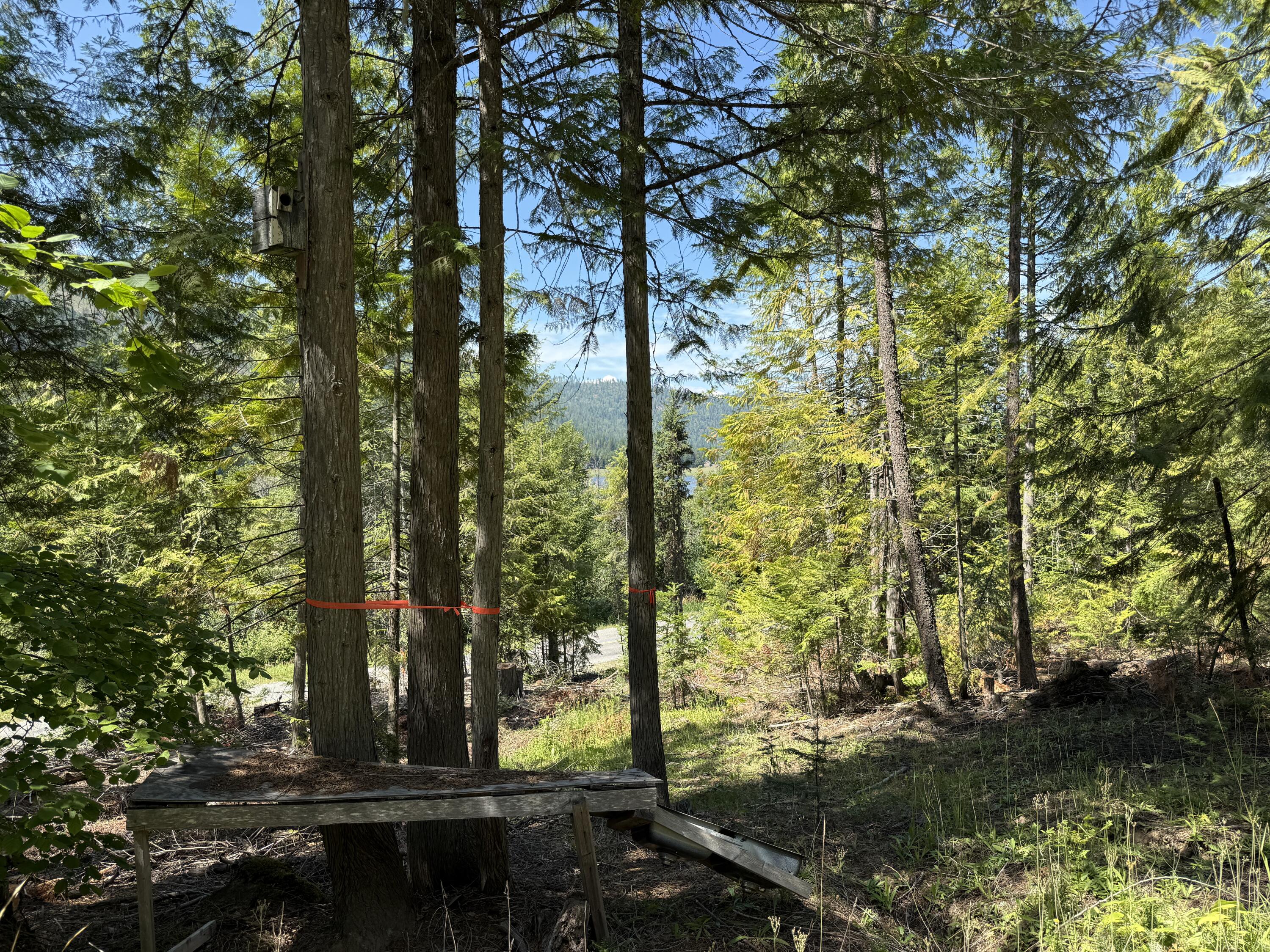 3516 DEEP LAKE BOUNDARY RD