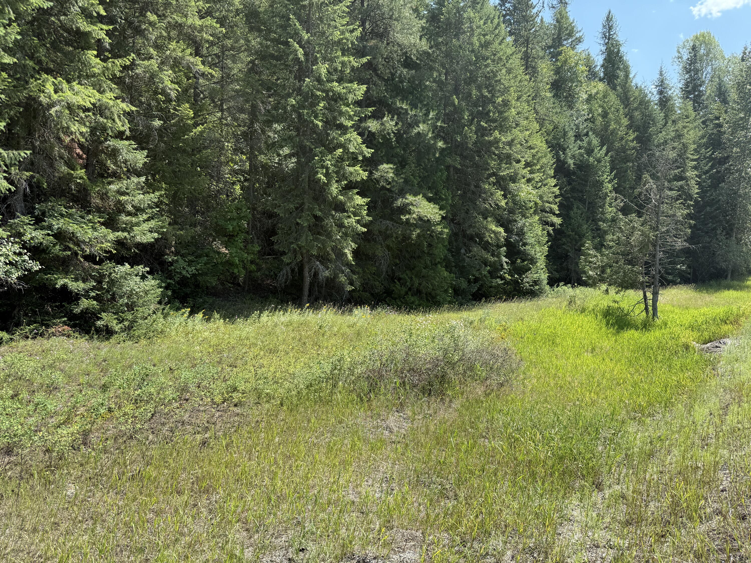 3516 DEEP LAKE BOUNDARY RD