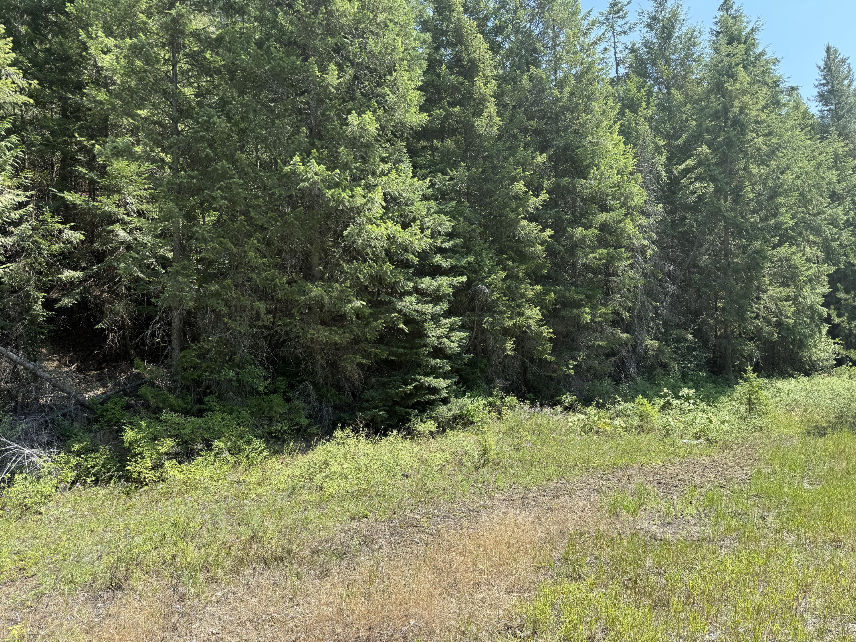 3516 DEEP LAKE BOUNDARY RD