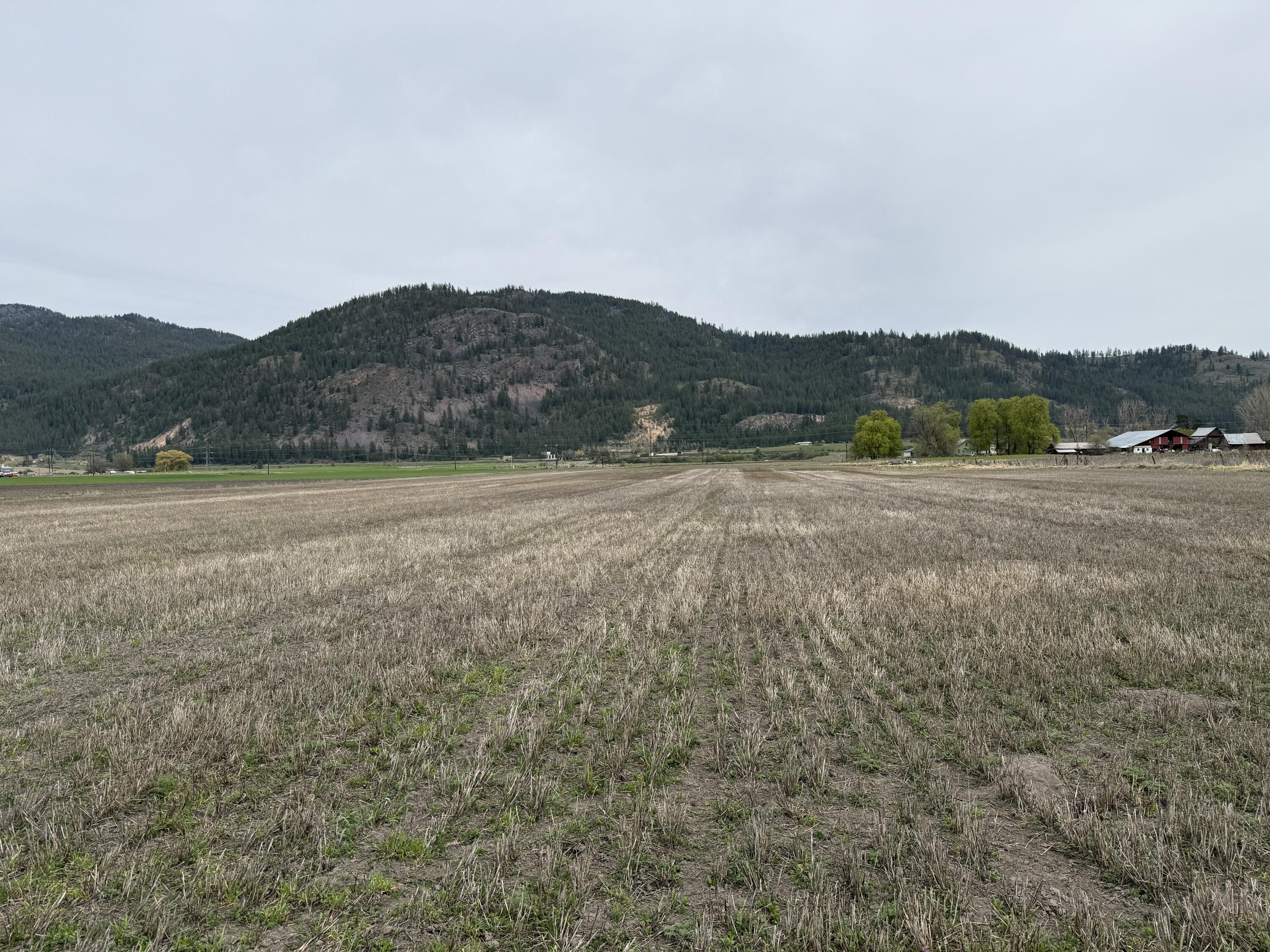 TBD ZIMMER RD