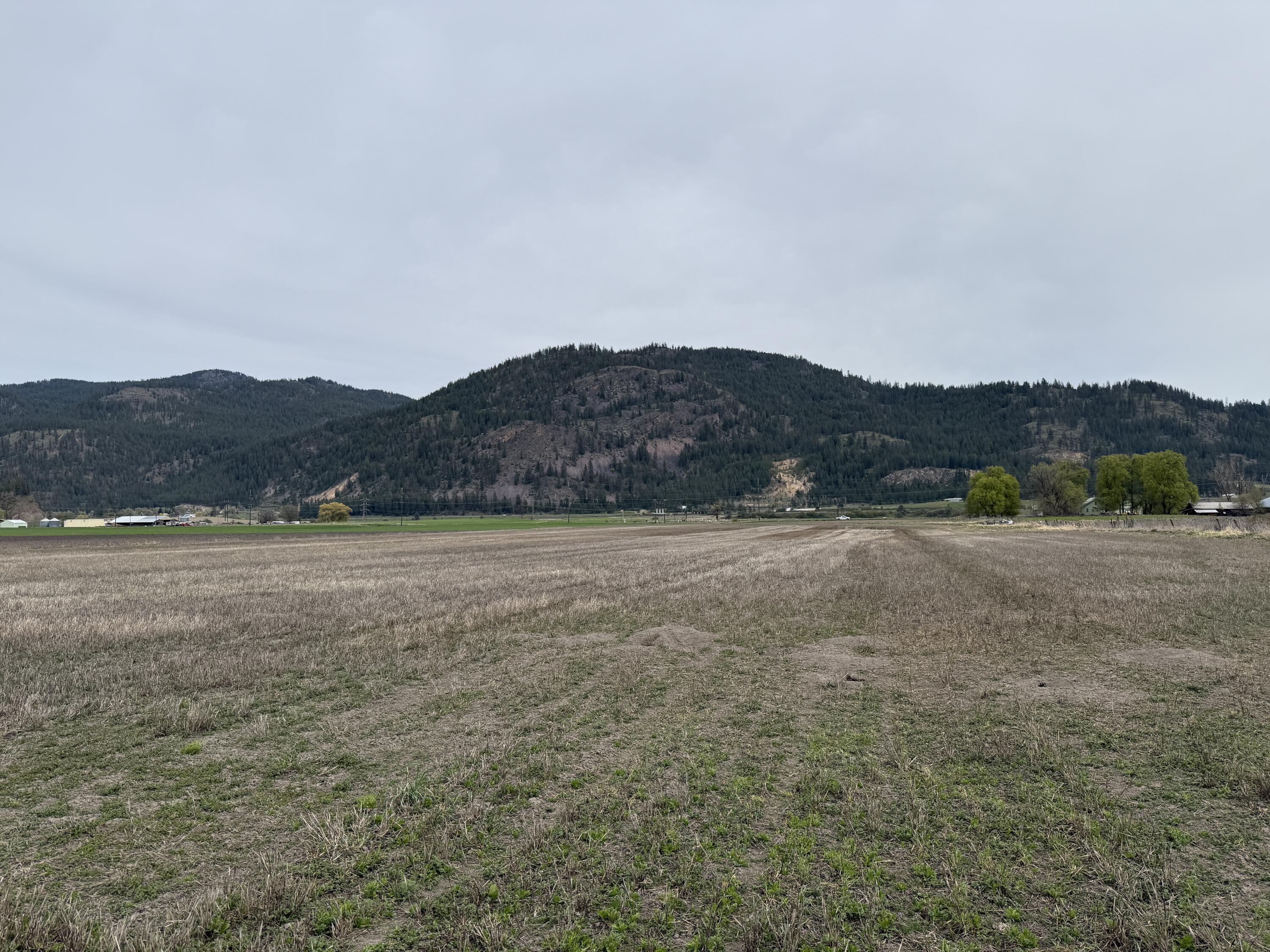 TBD ZIMMER RD