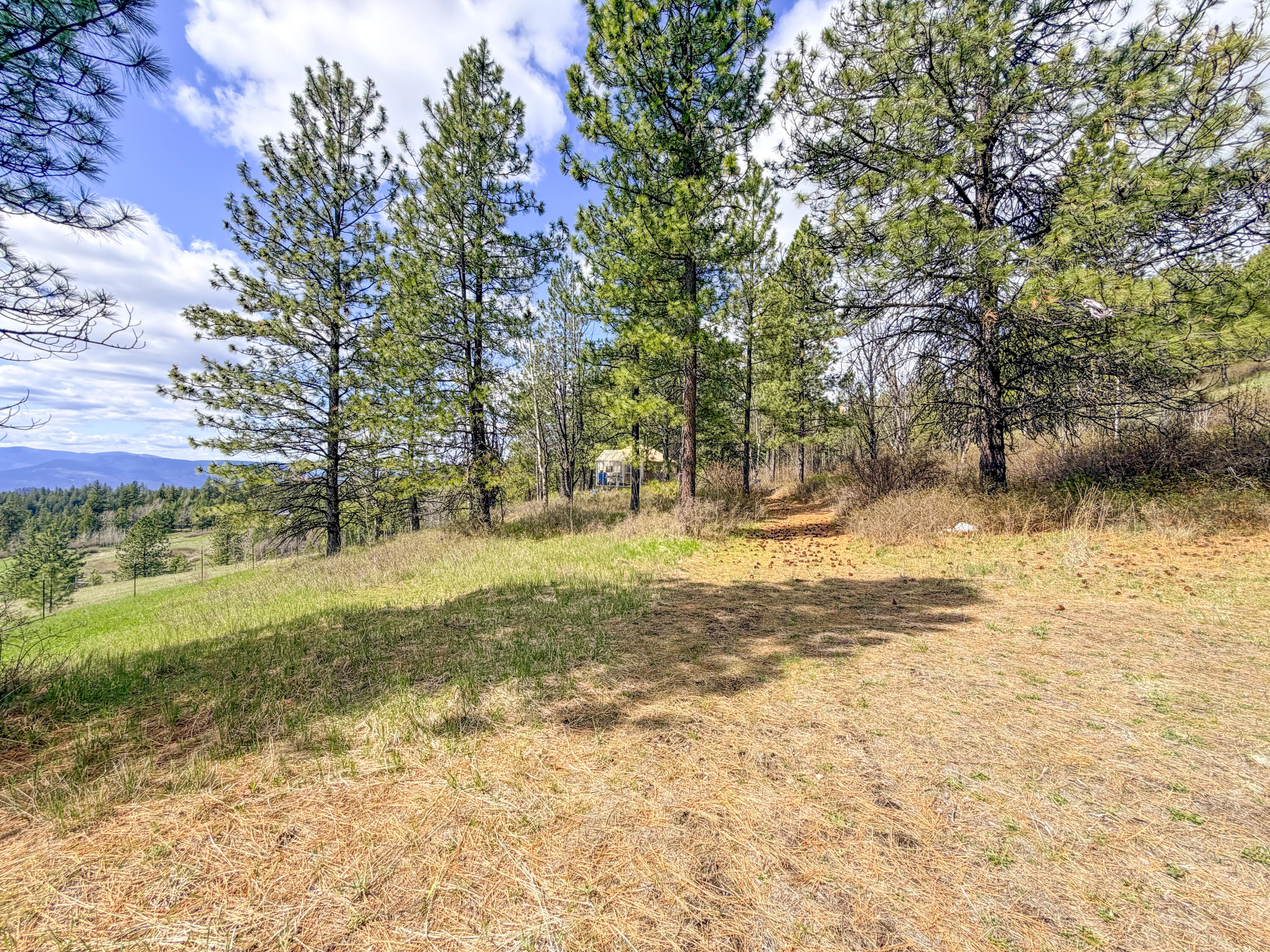 829 DOMINION SPRINGS WAY