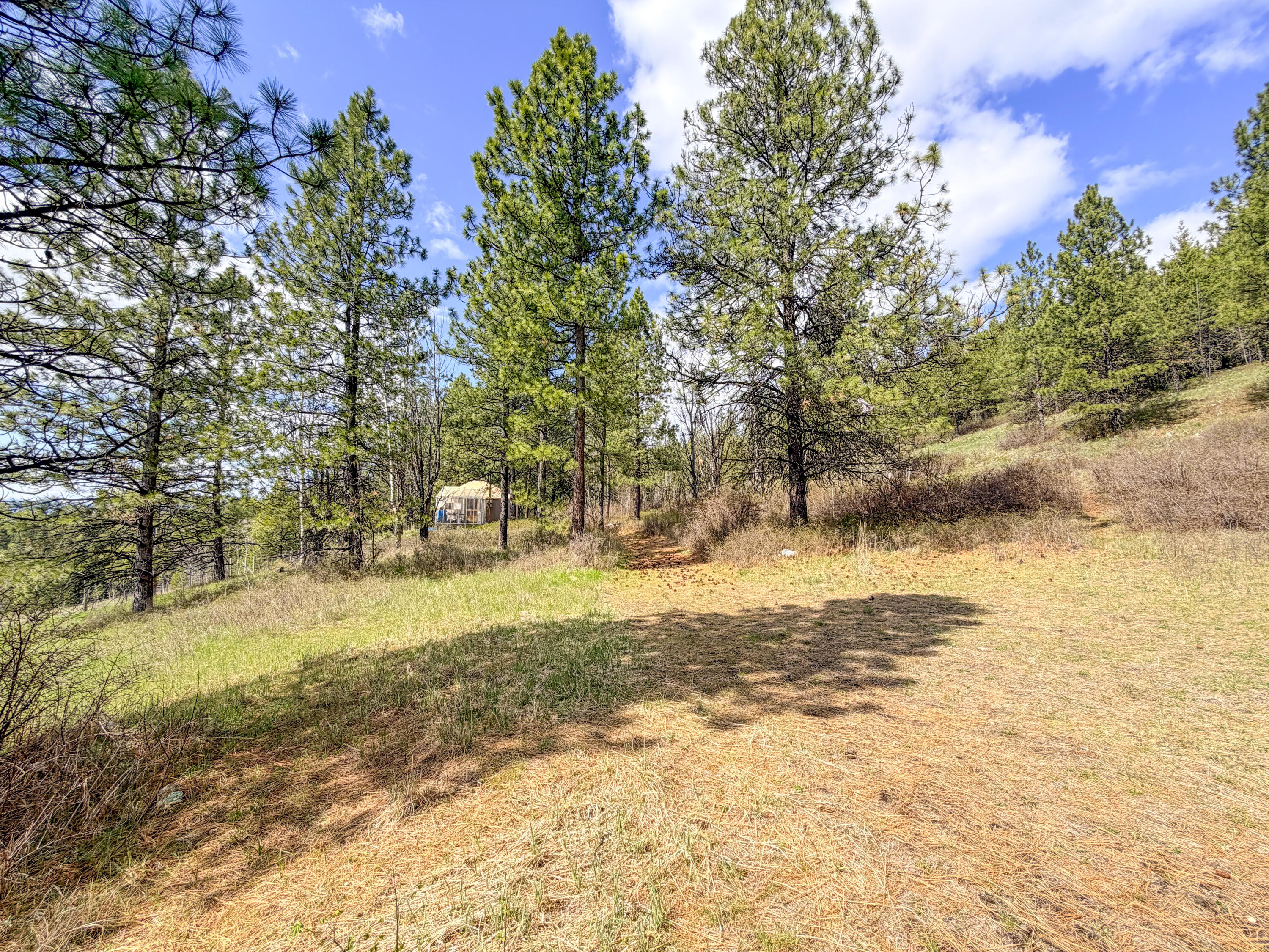 829 DOMINION SPRINGS WAY