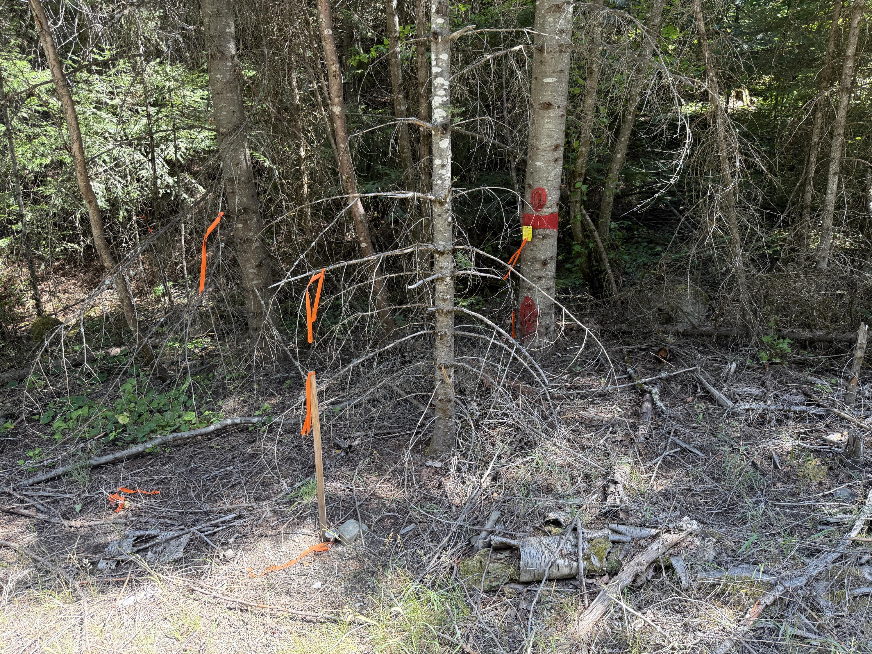 3516 DEEP LAKE BOUNDARY RD