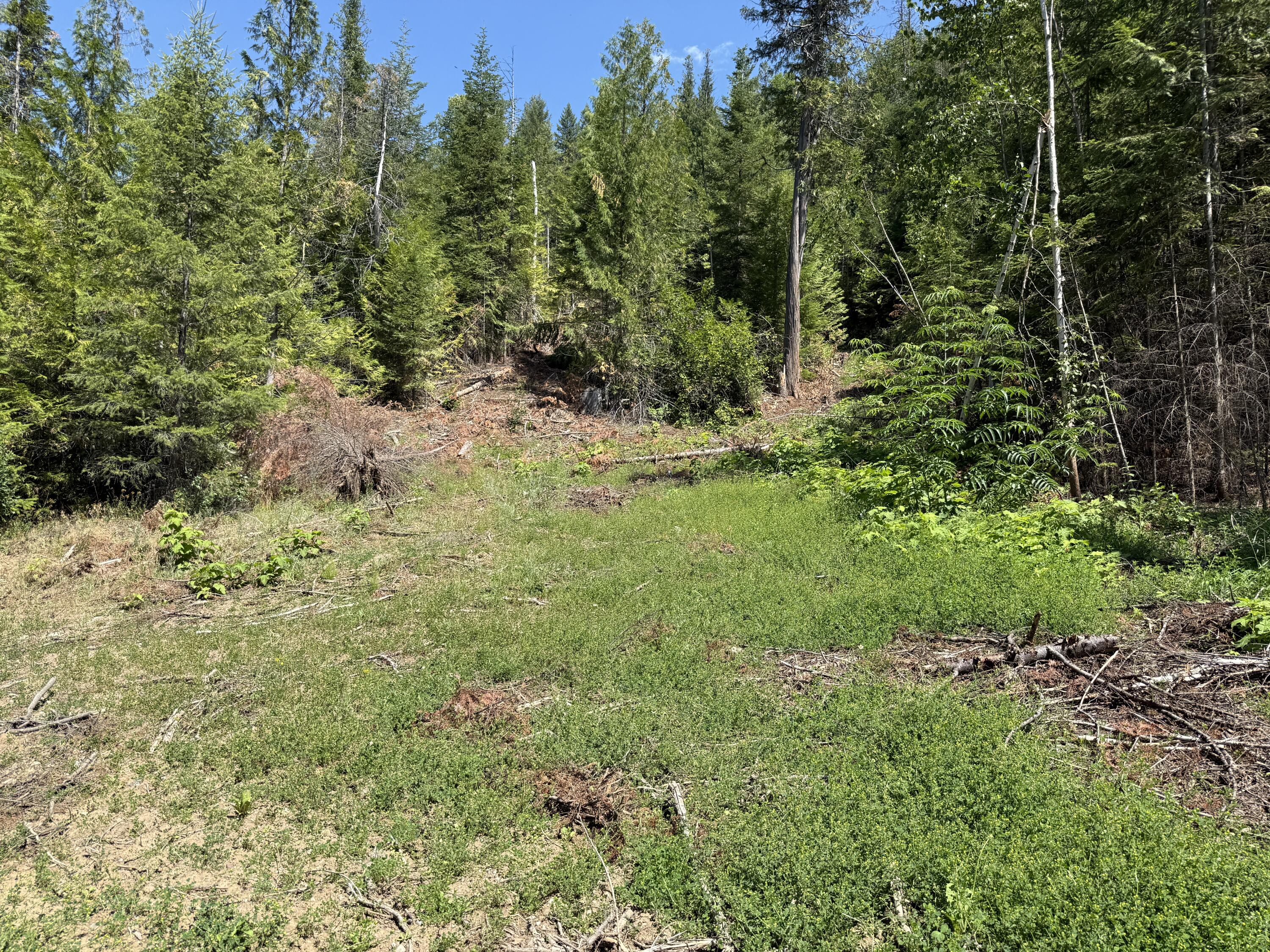3516 DEEP LAKE BOUNDARY RD