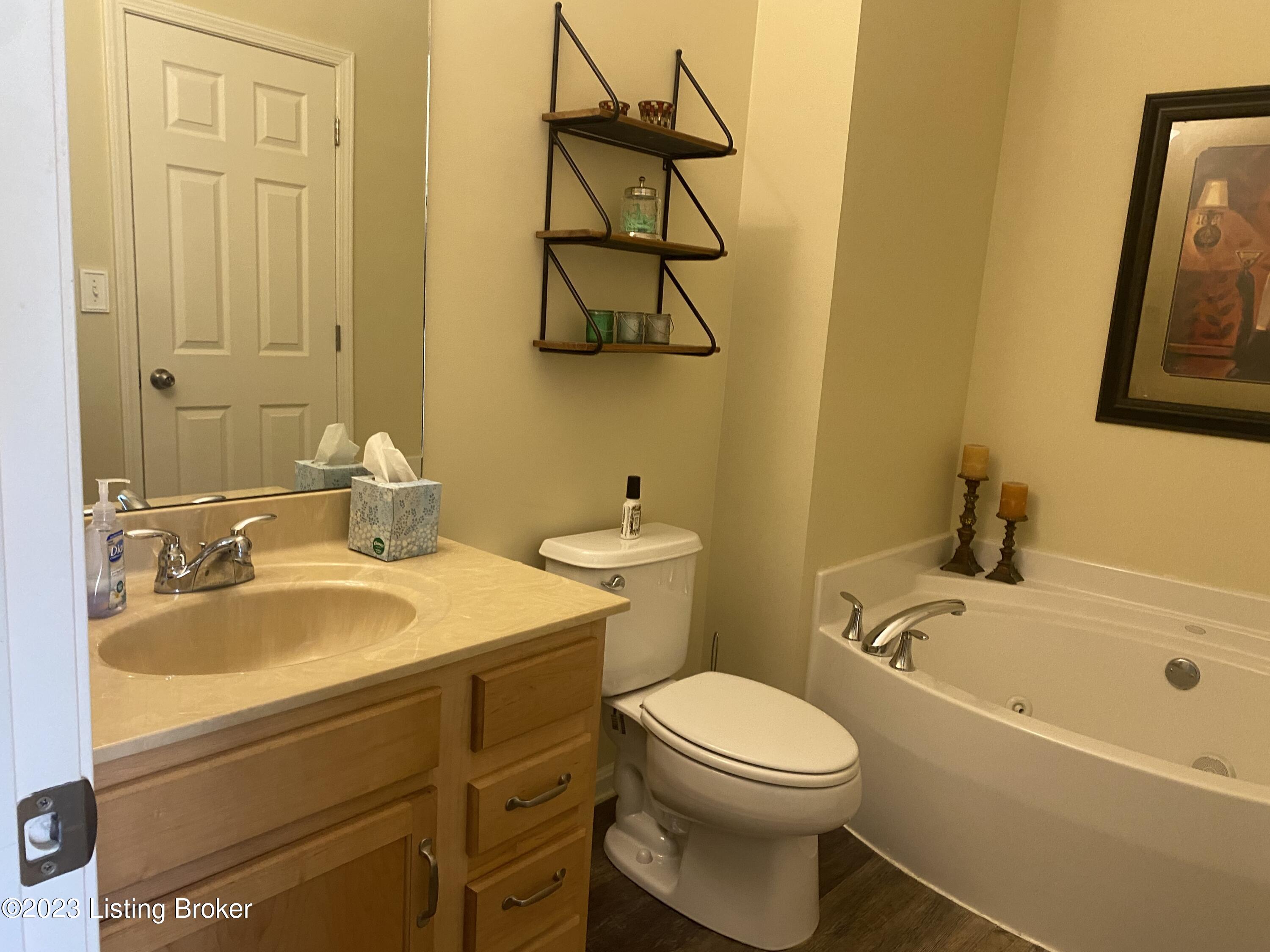 10017 Vista Springs Way