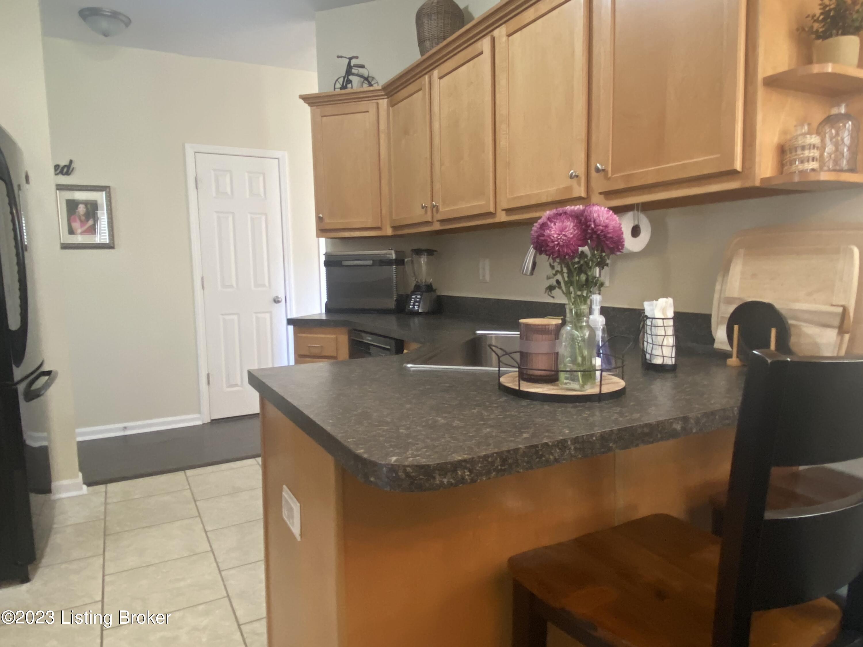 10017 Vista Springs Way