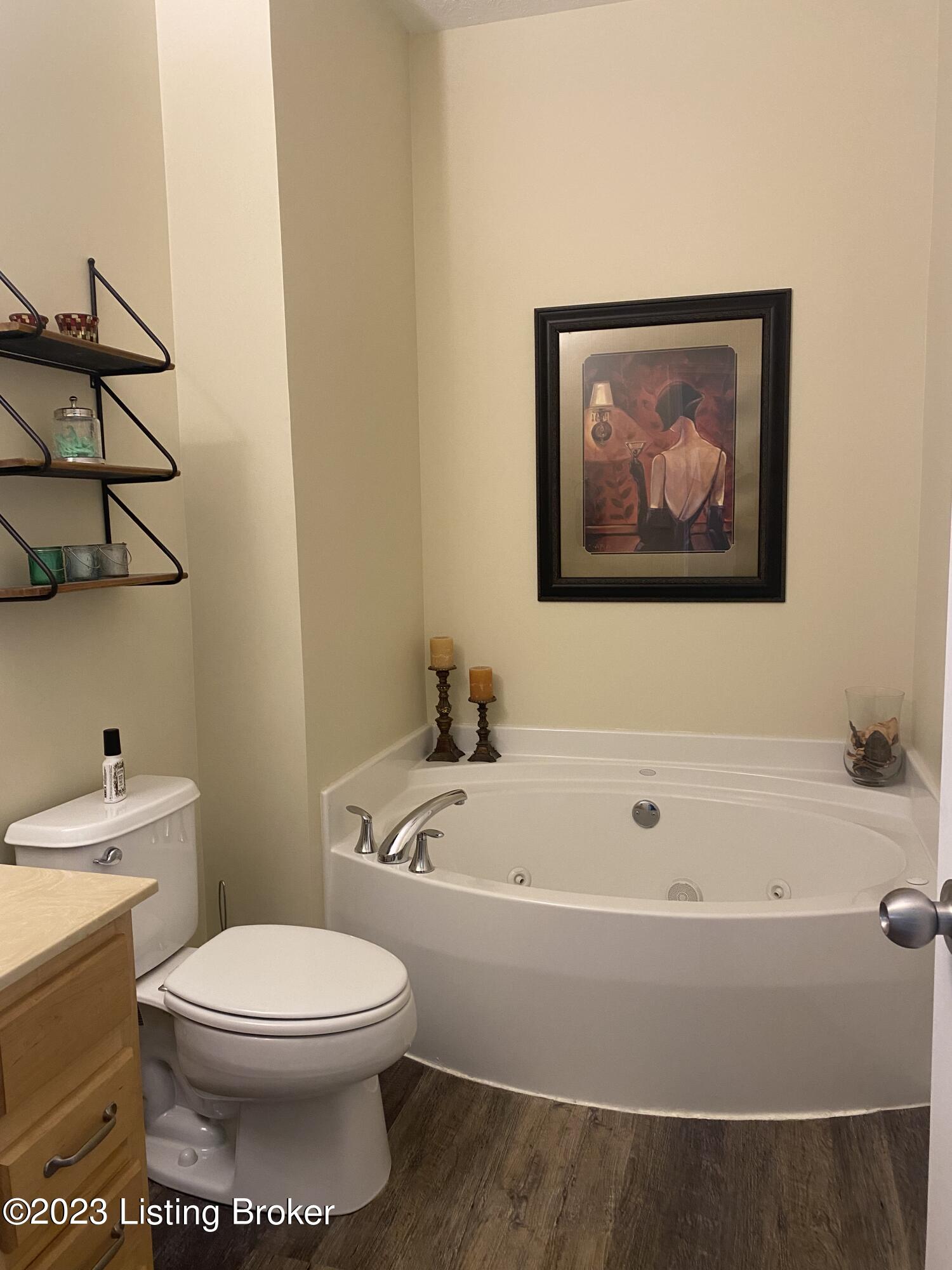 10017 Vista Springs Way