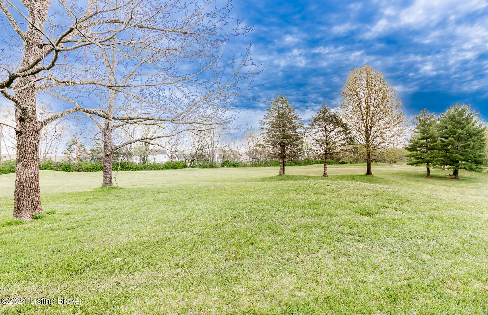 17209 Mallet Hill Dr