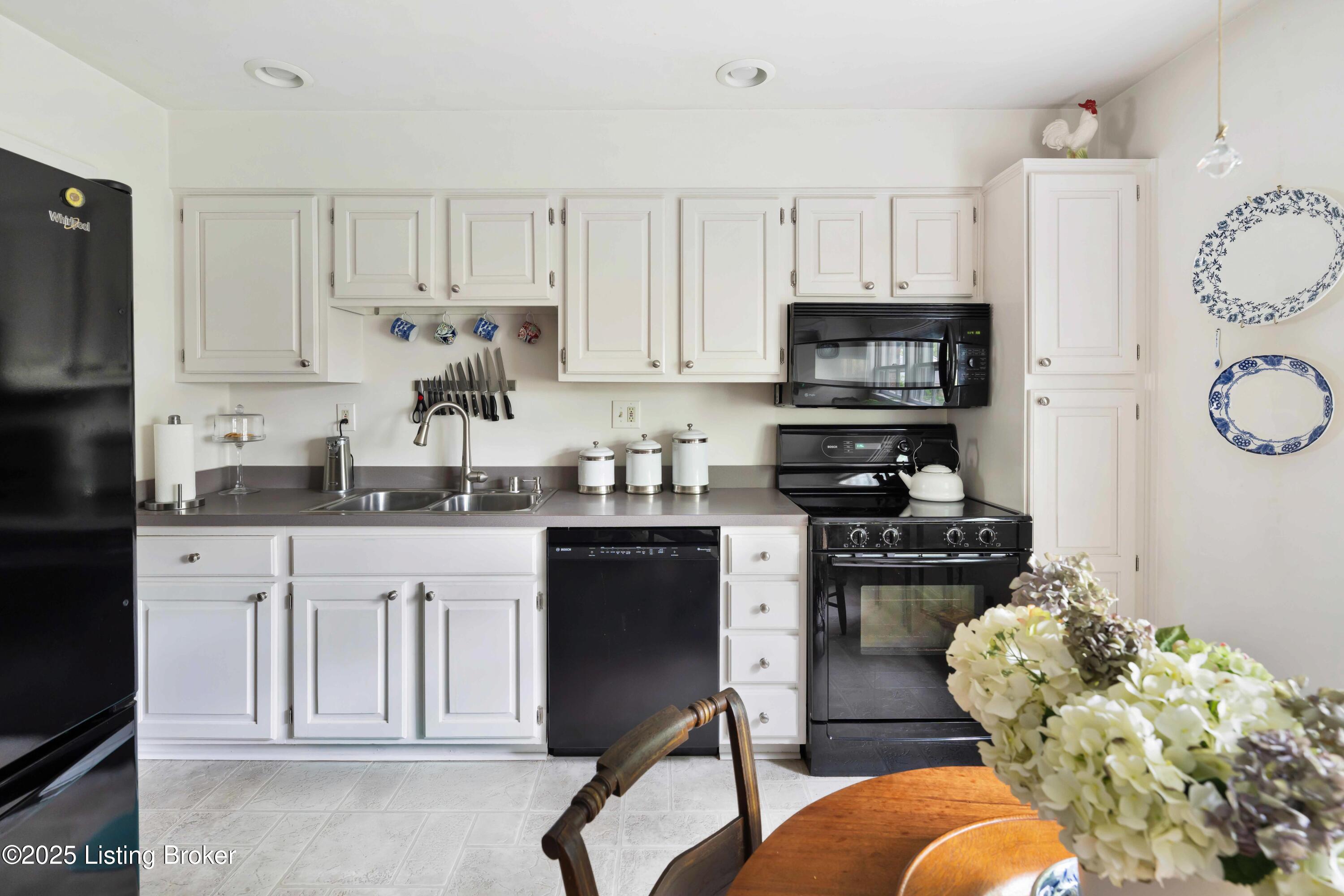 1006 Burning Springs Cir, 2E