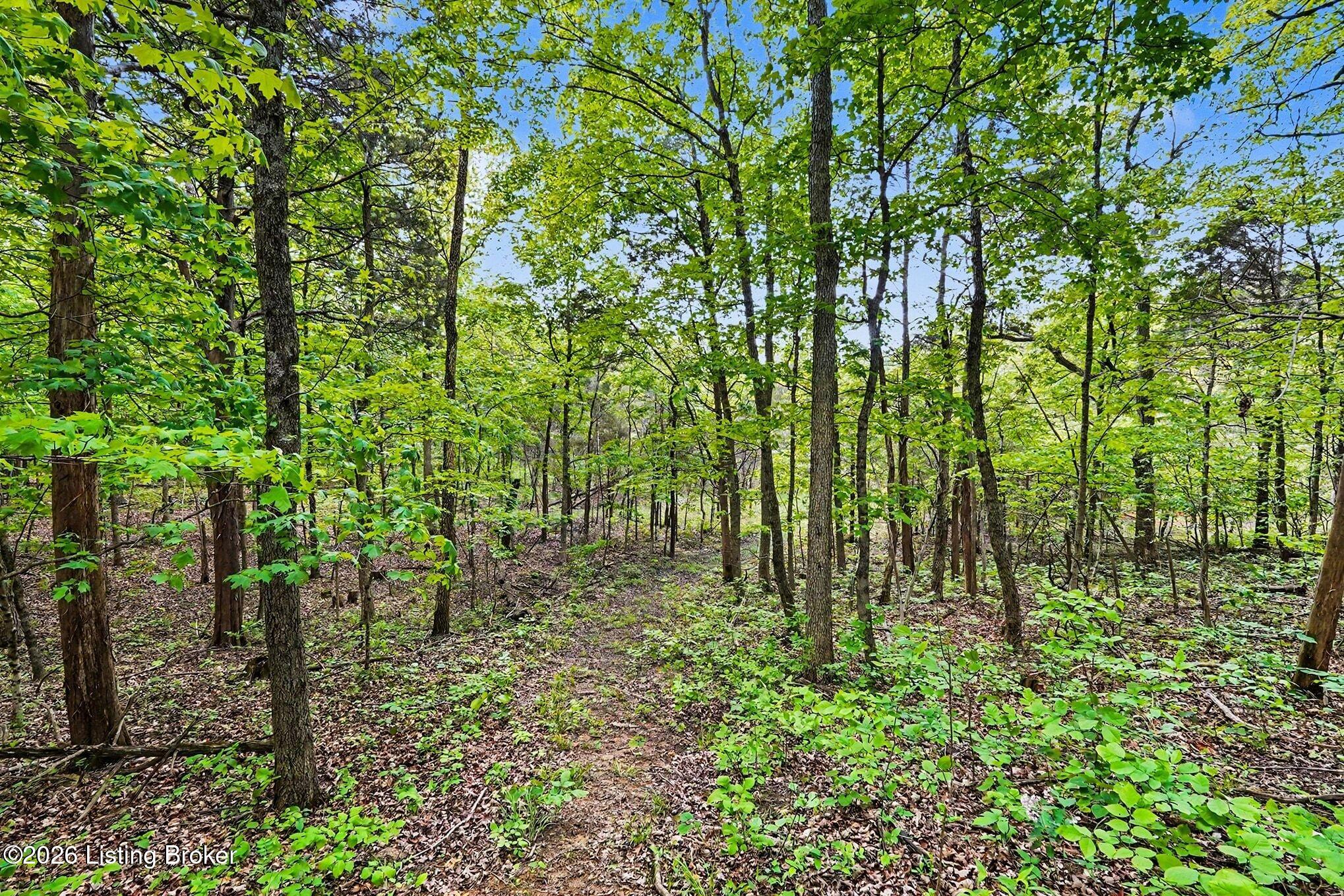 130 Rocky Run Ct