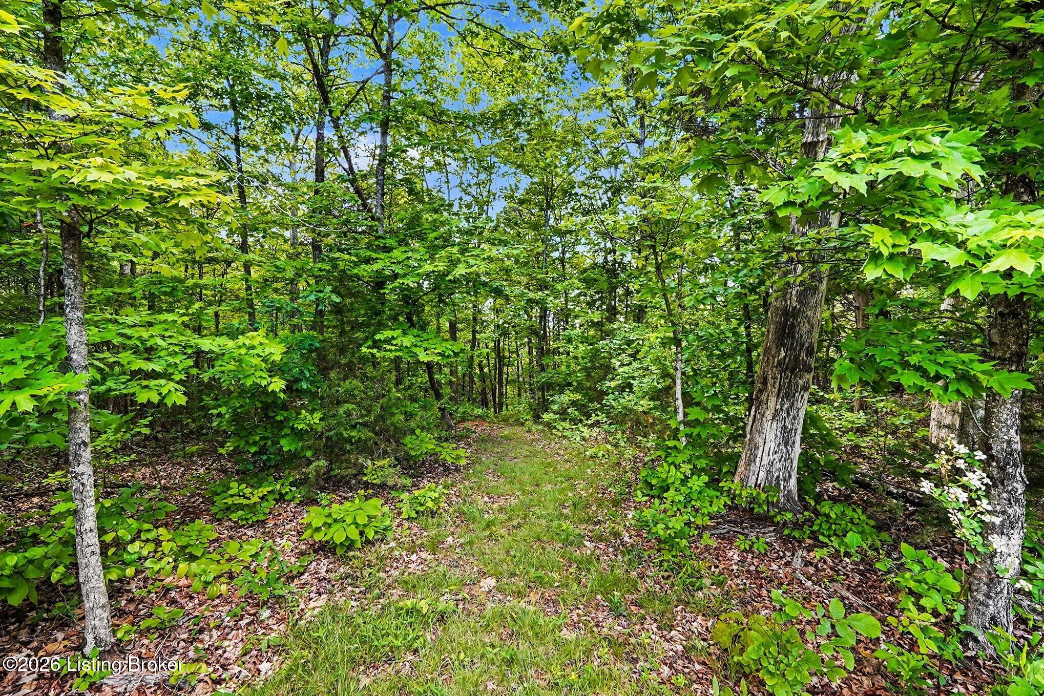 130 Rocky Run Ct