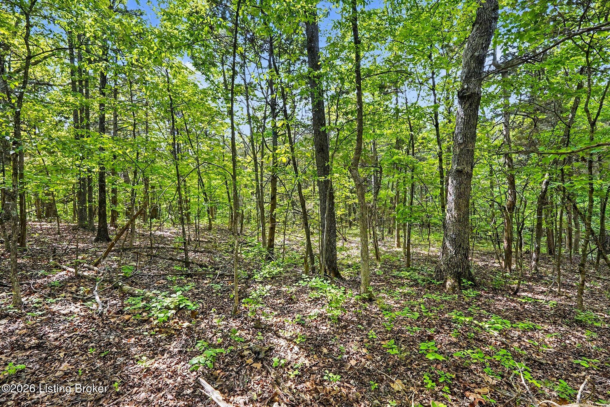 130 Rocky Run Ct