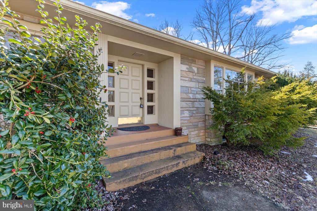 181 IRISH RD