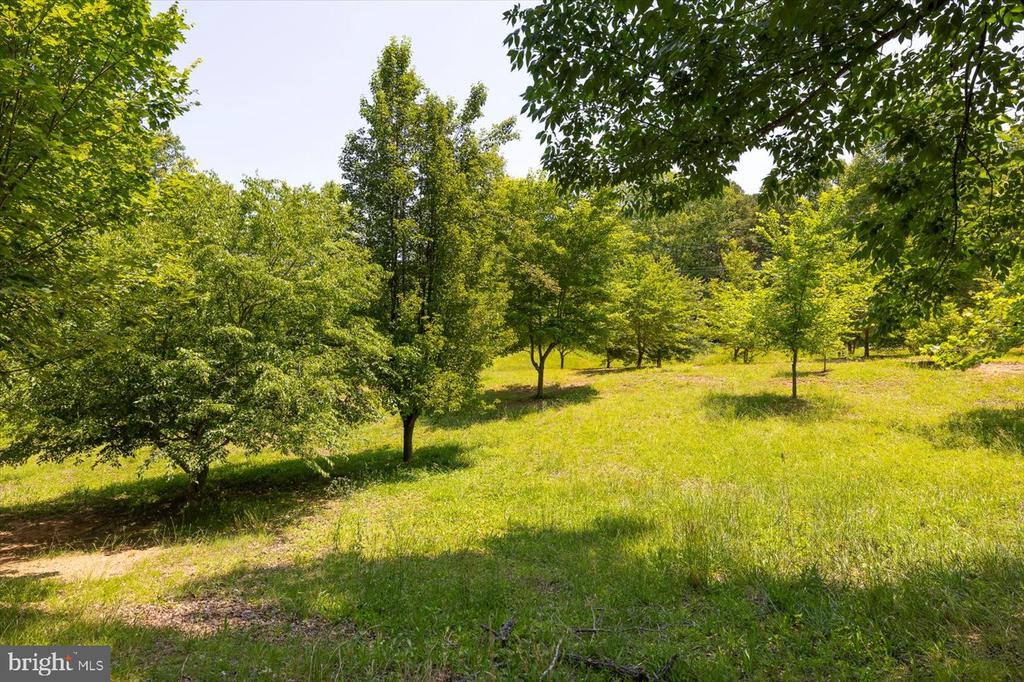 PEACH GROVE ROAD