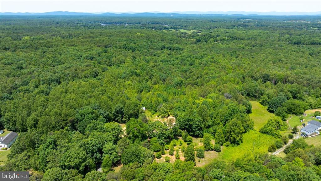 PEACH GROVE ROAD