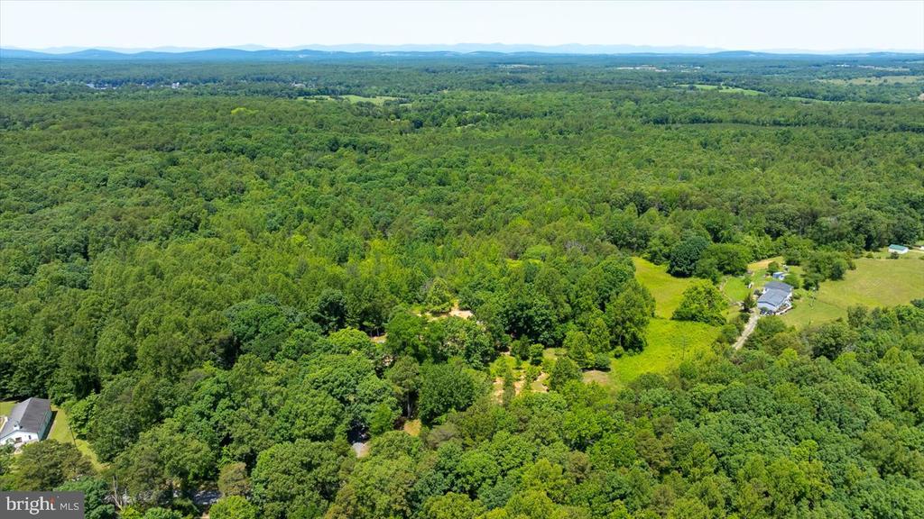 PEACH GROVE ROAD