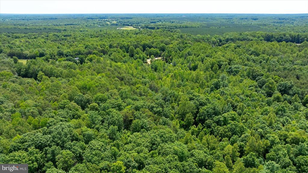 PEACH GROVE ROAD